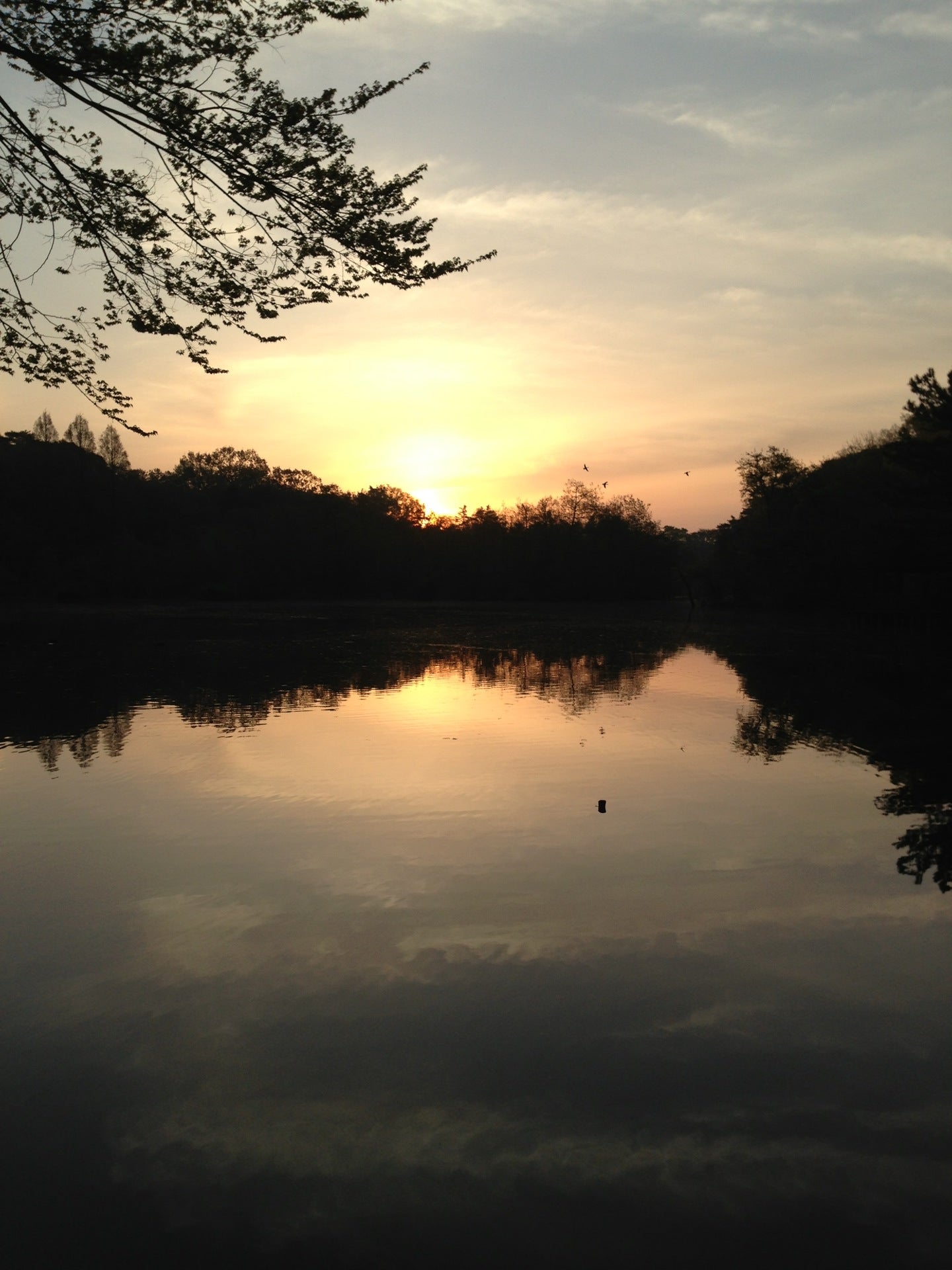 park