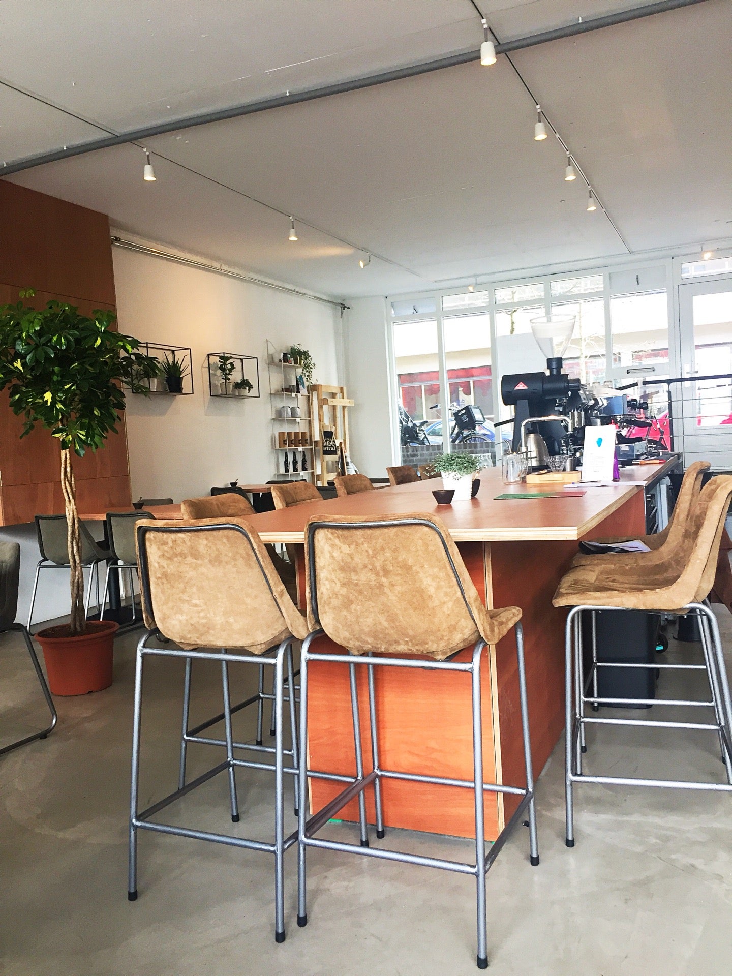 coffee-shop