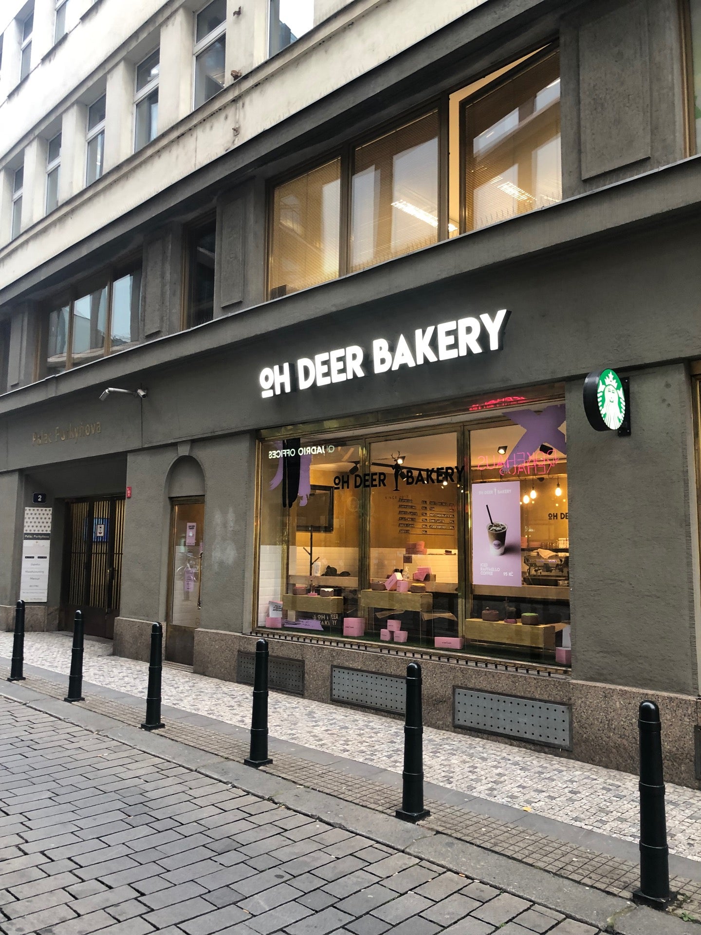 donut-shop