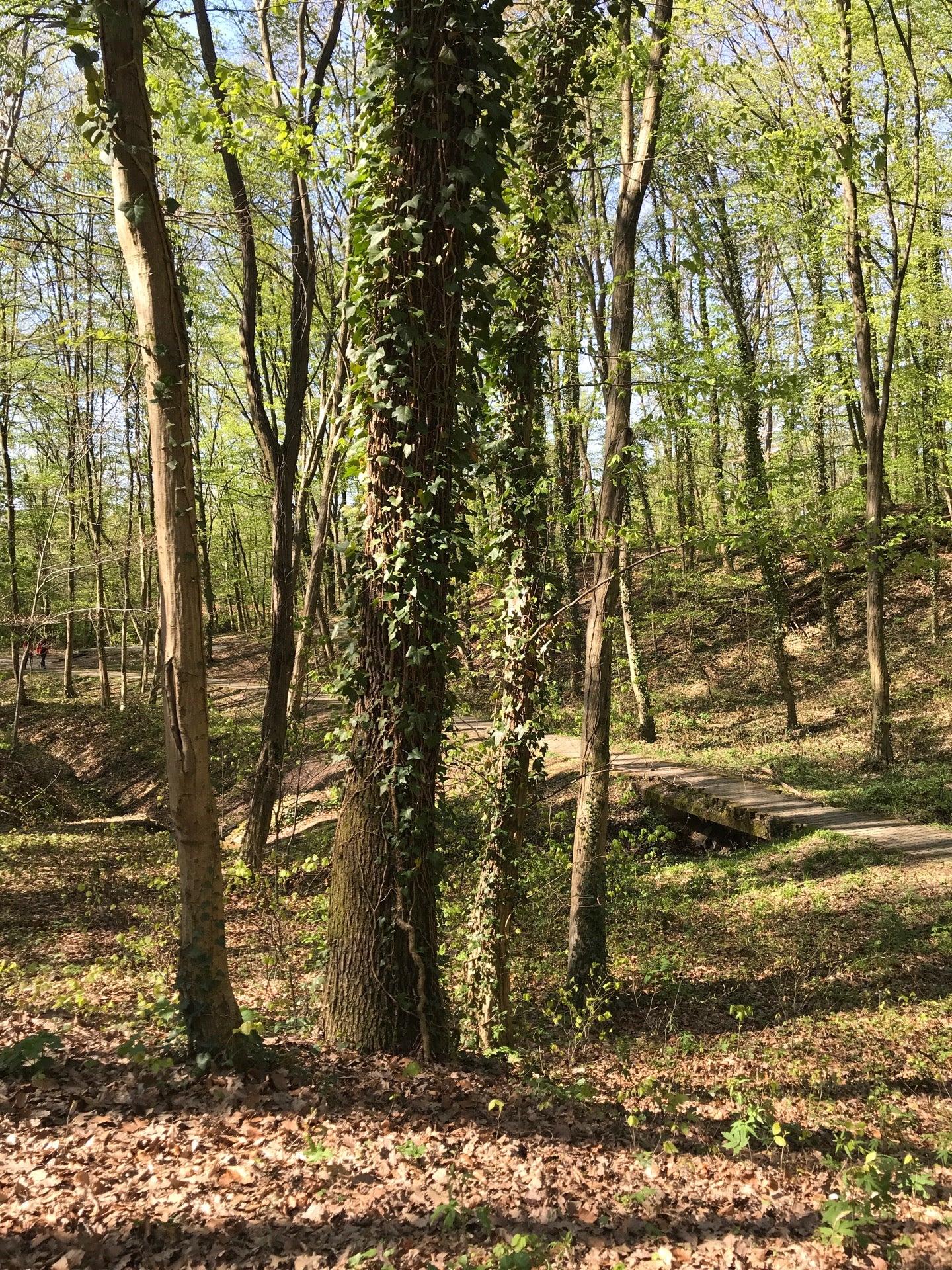park