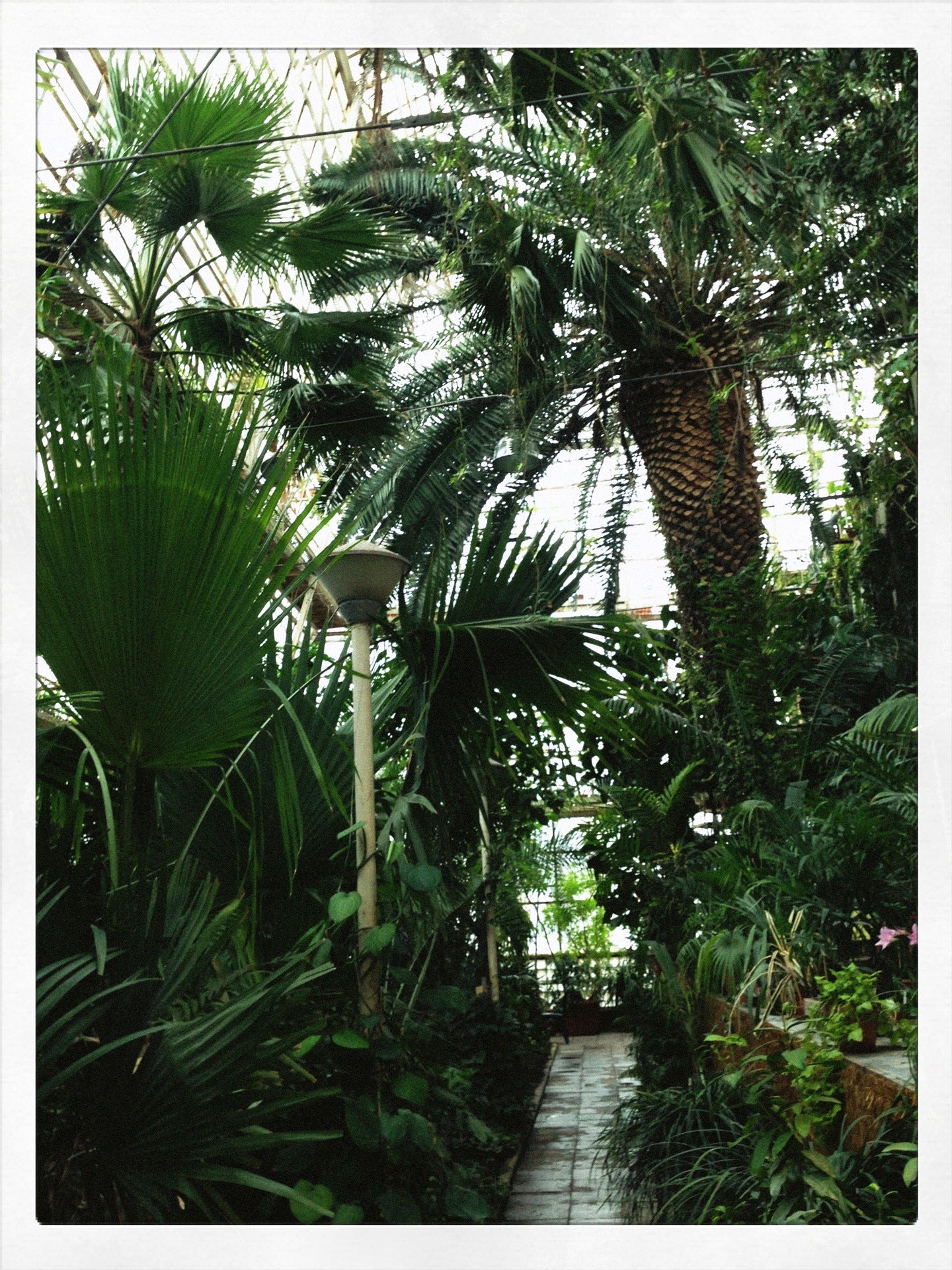 botanical-garden