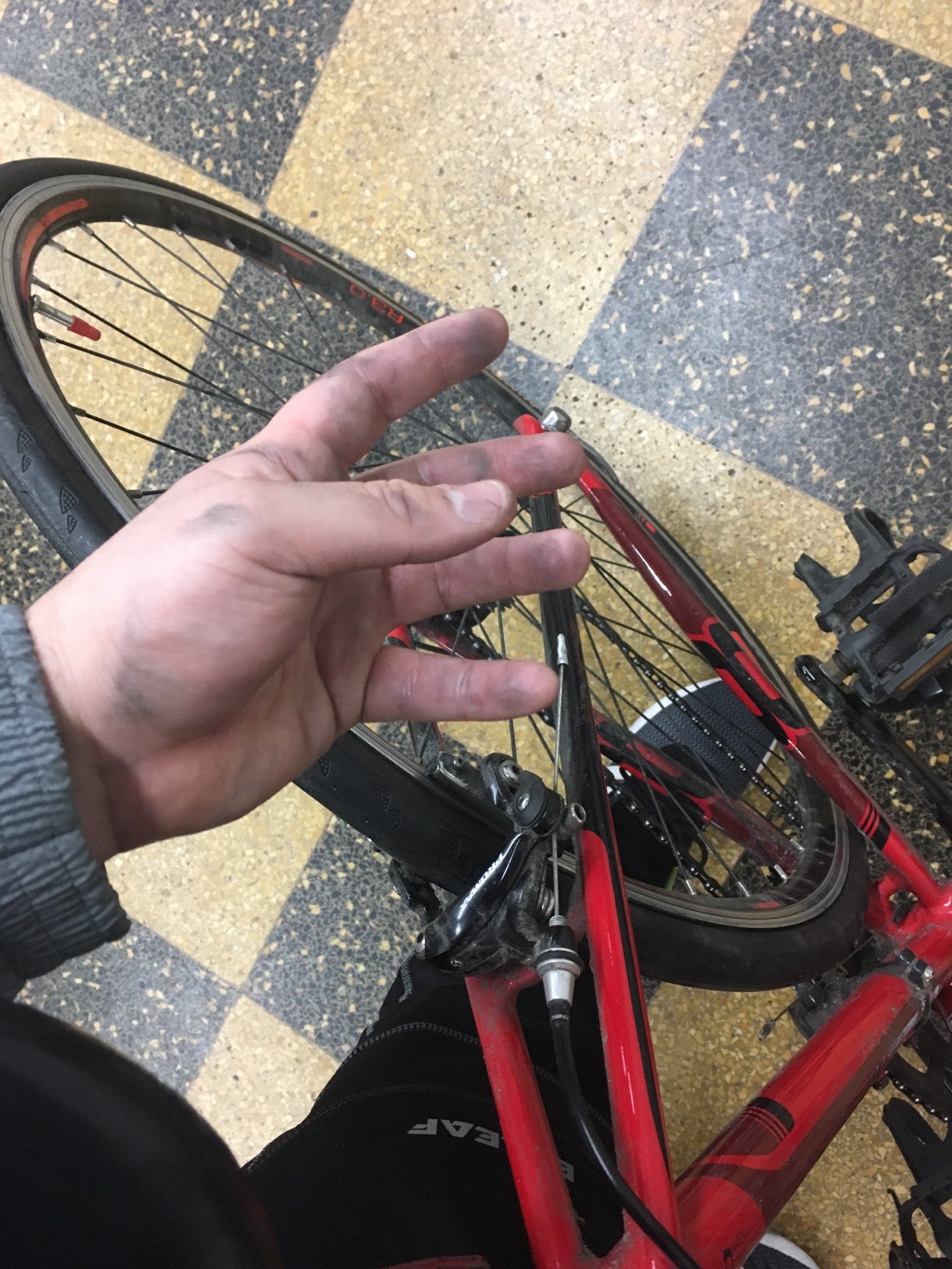 bike-shop