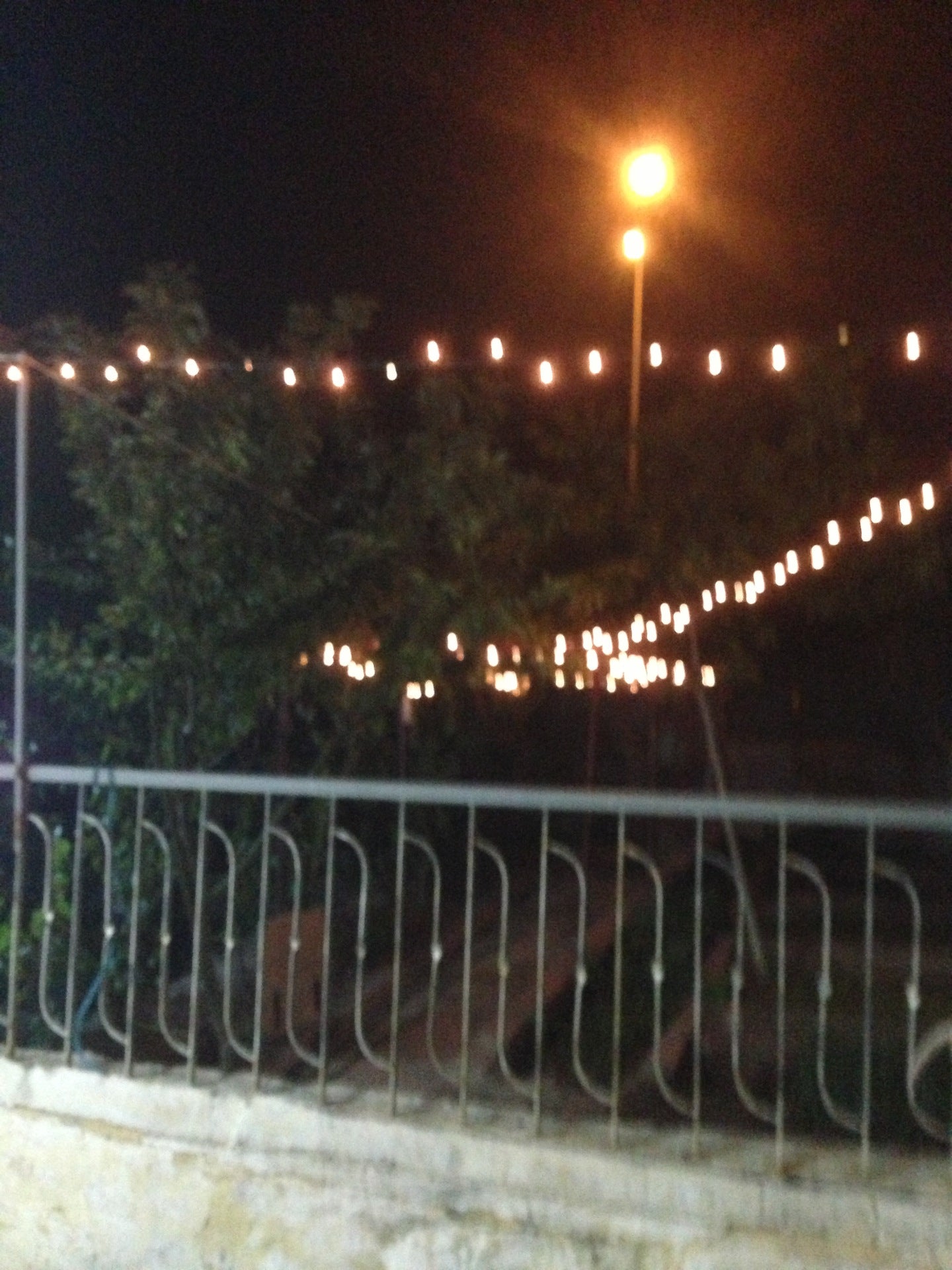 vineyard