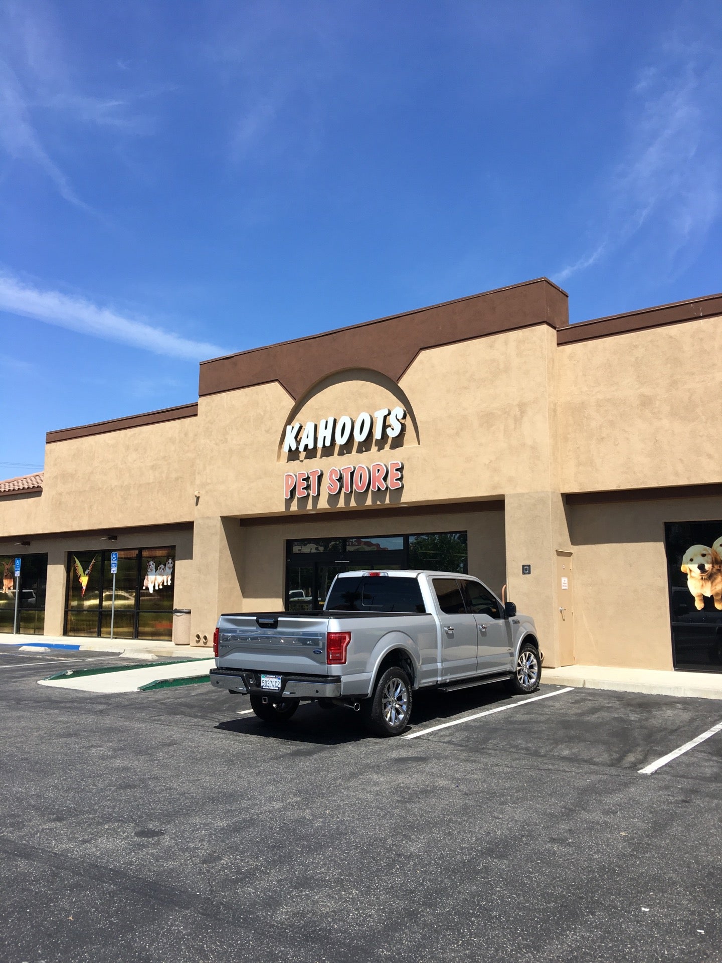 pet-store