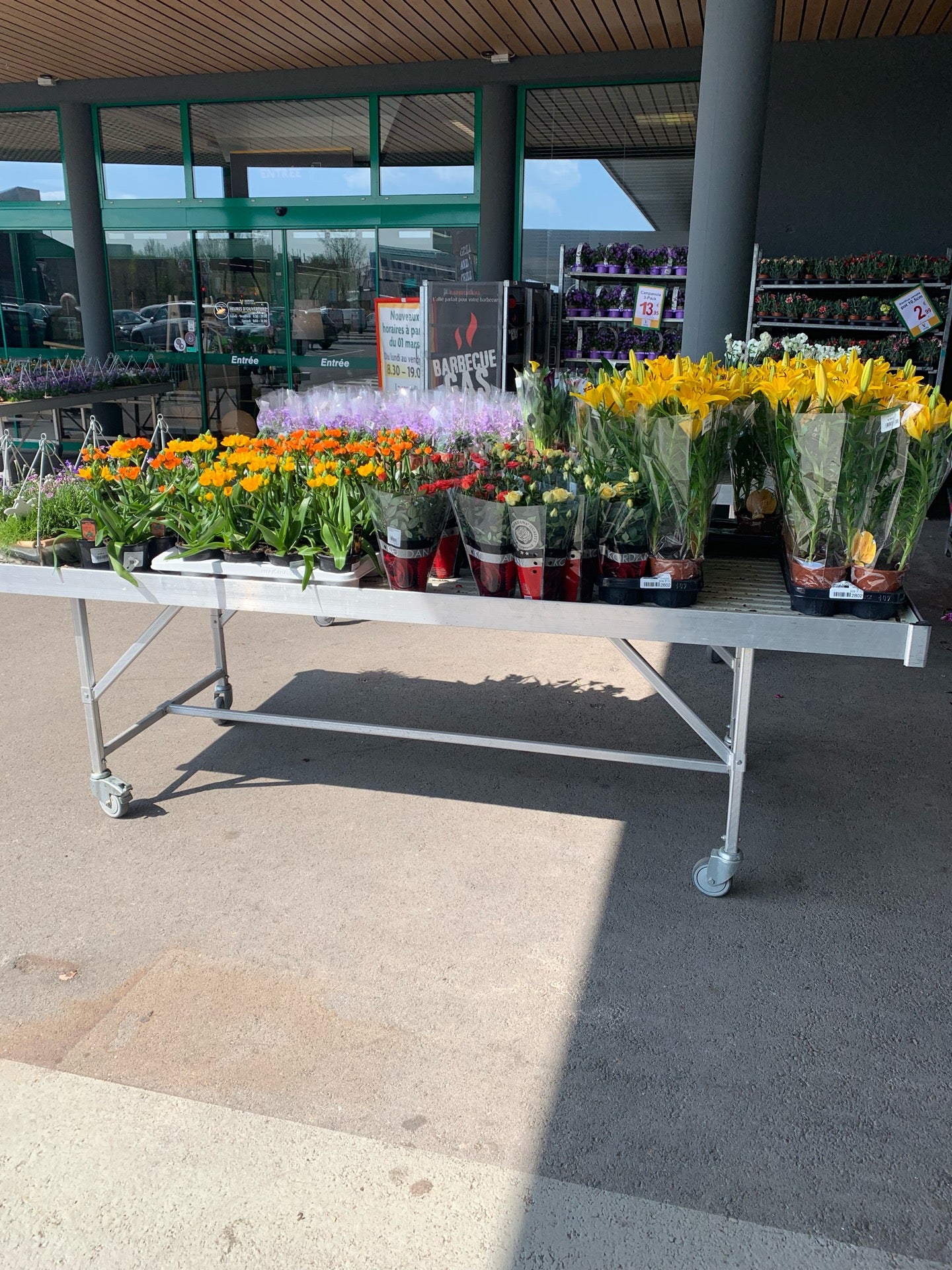 garden-center