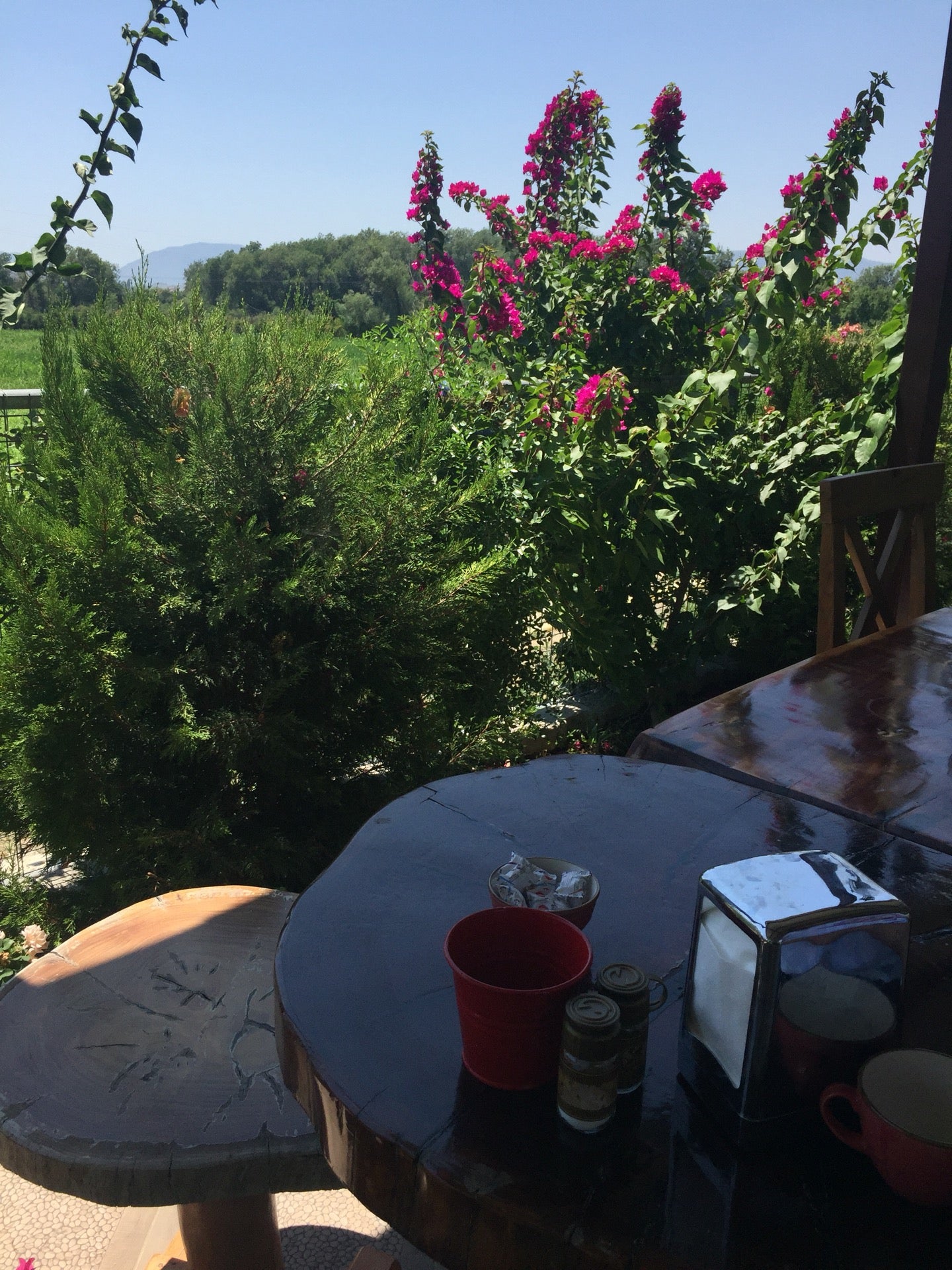 breakfast-spot