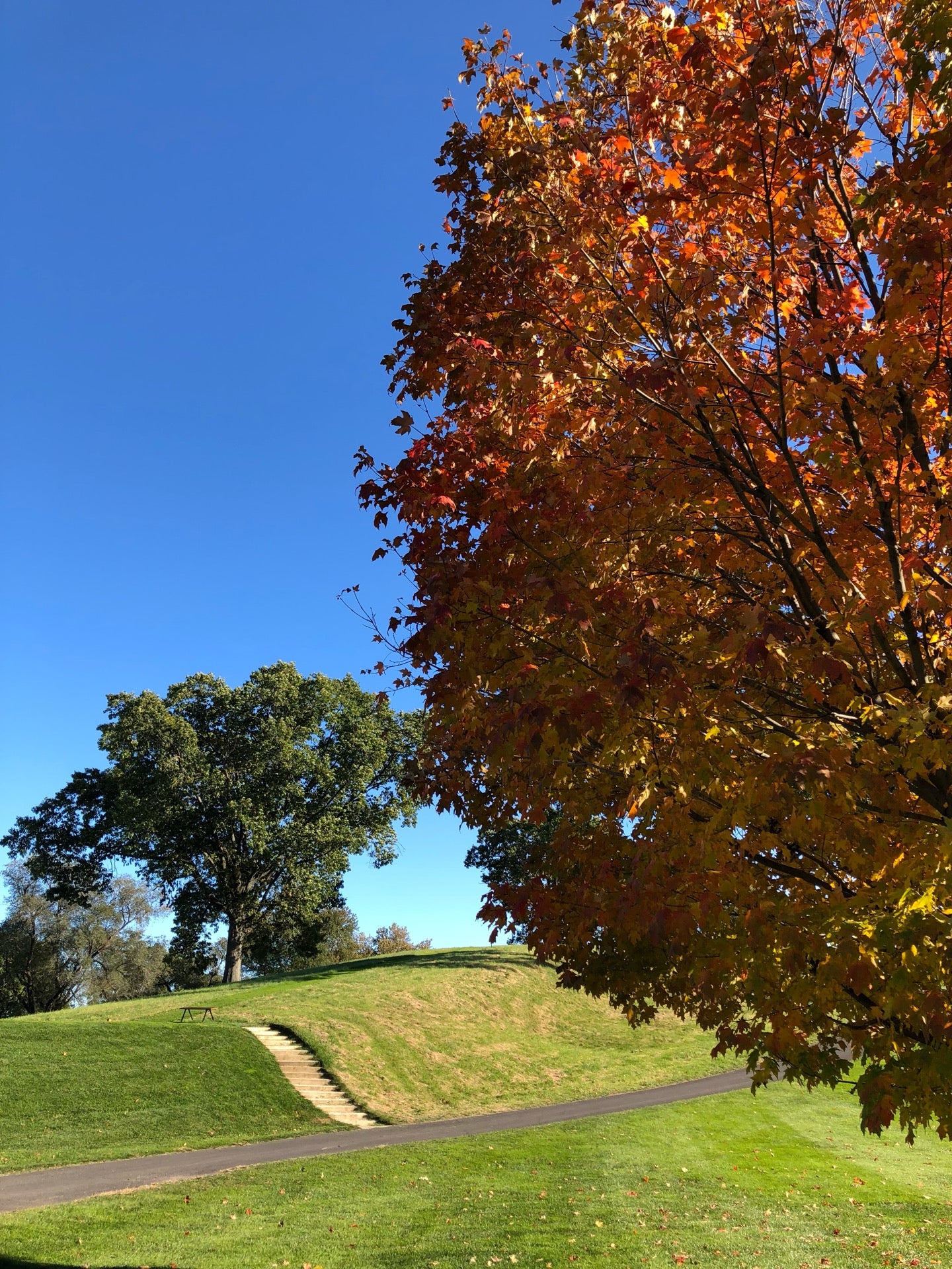 golf-course