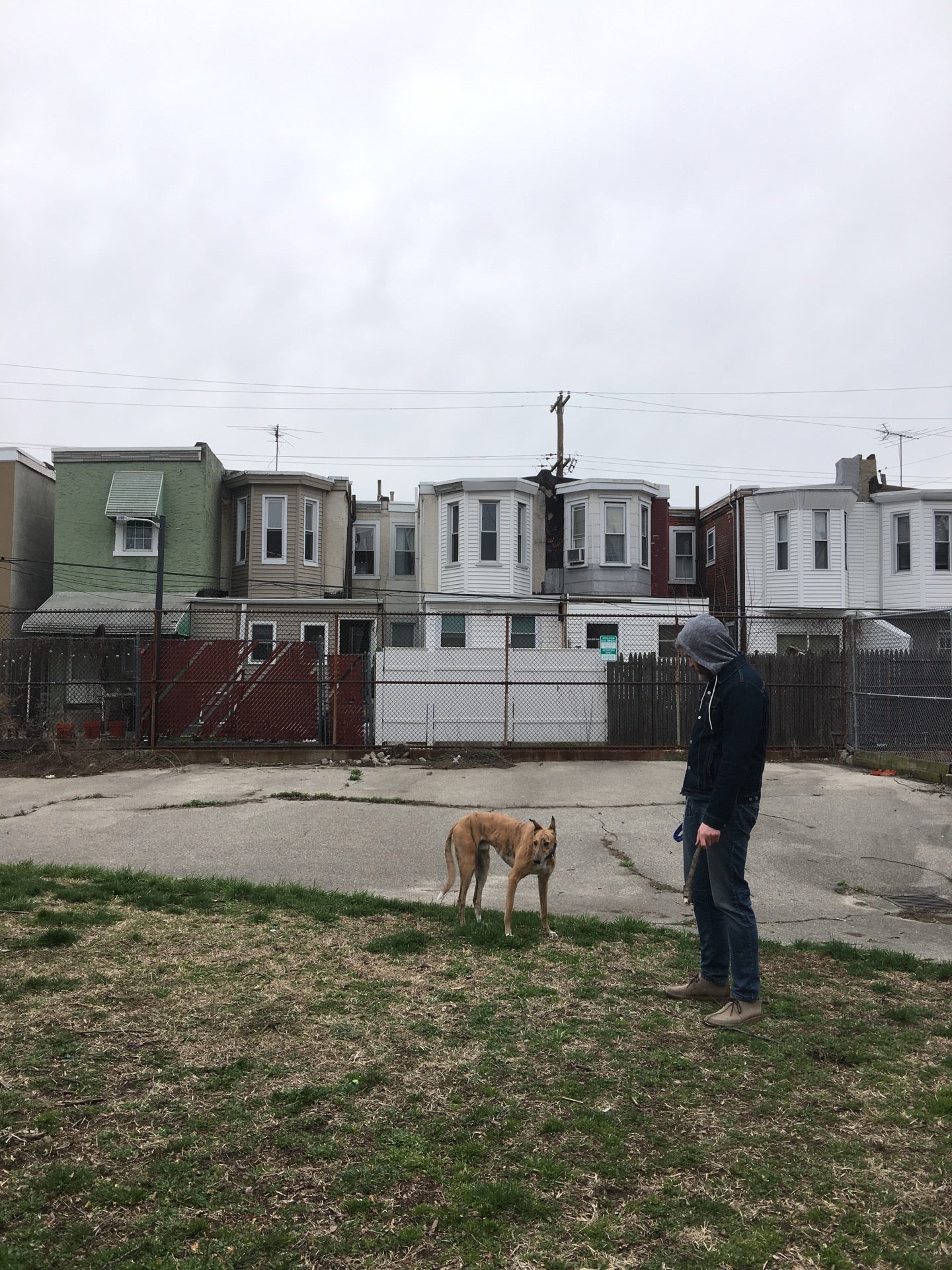 dog-run