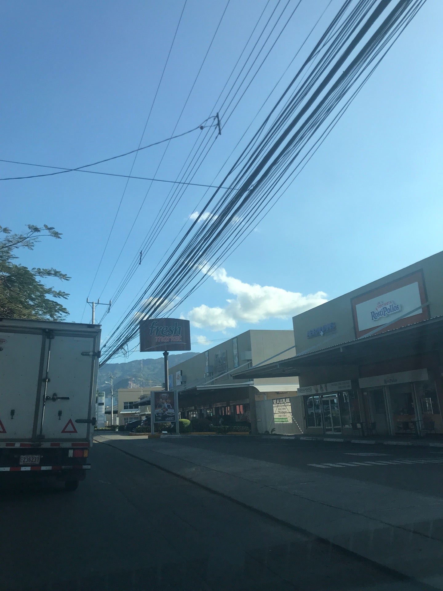 convenience-store
