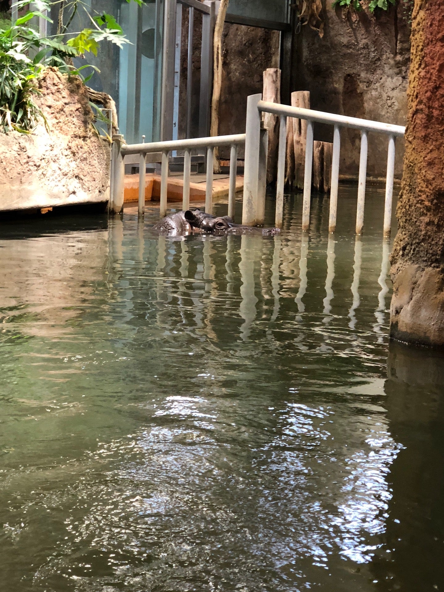 zoo-exhibit