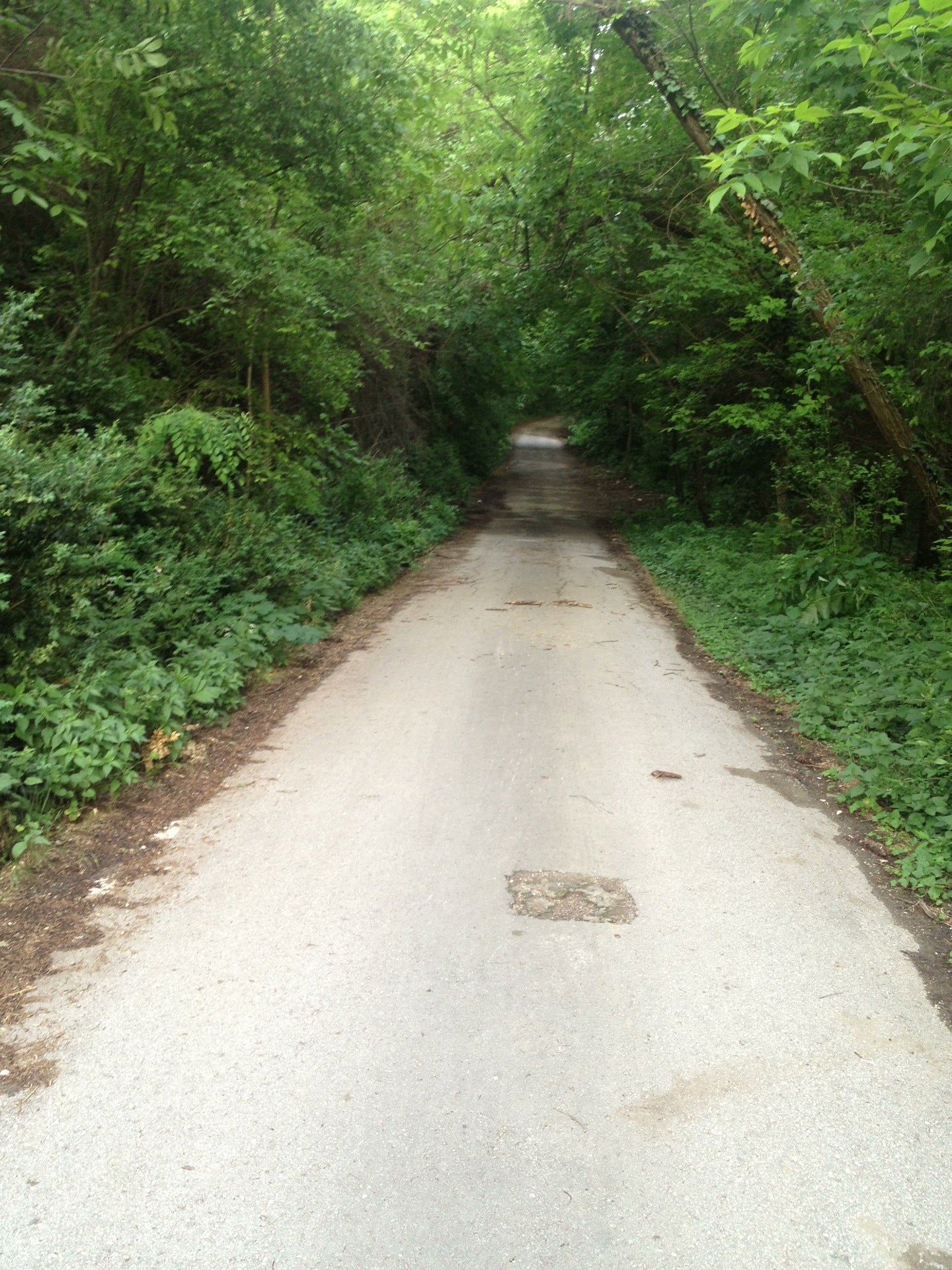 park