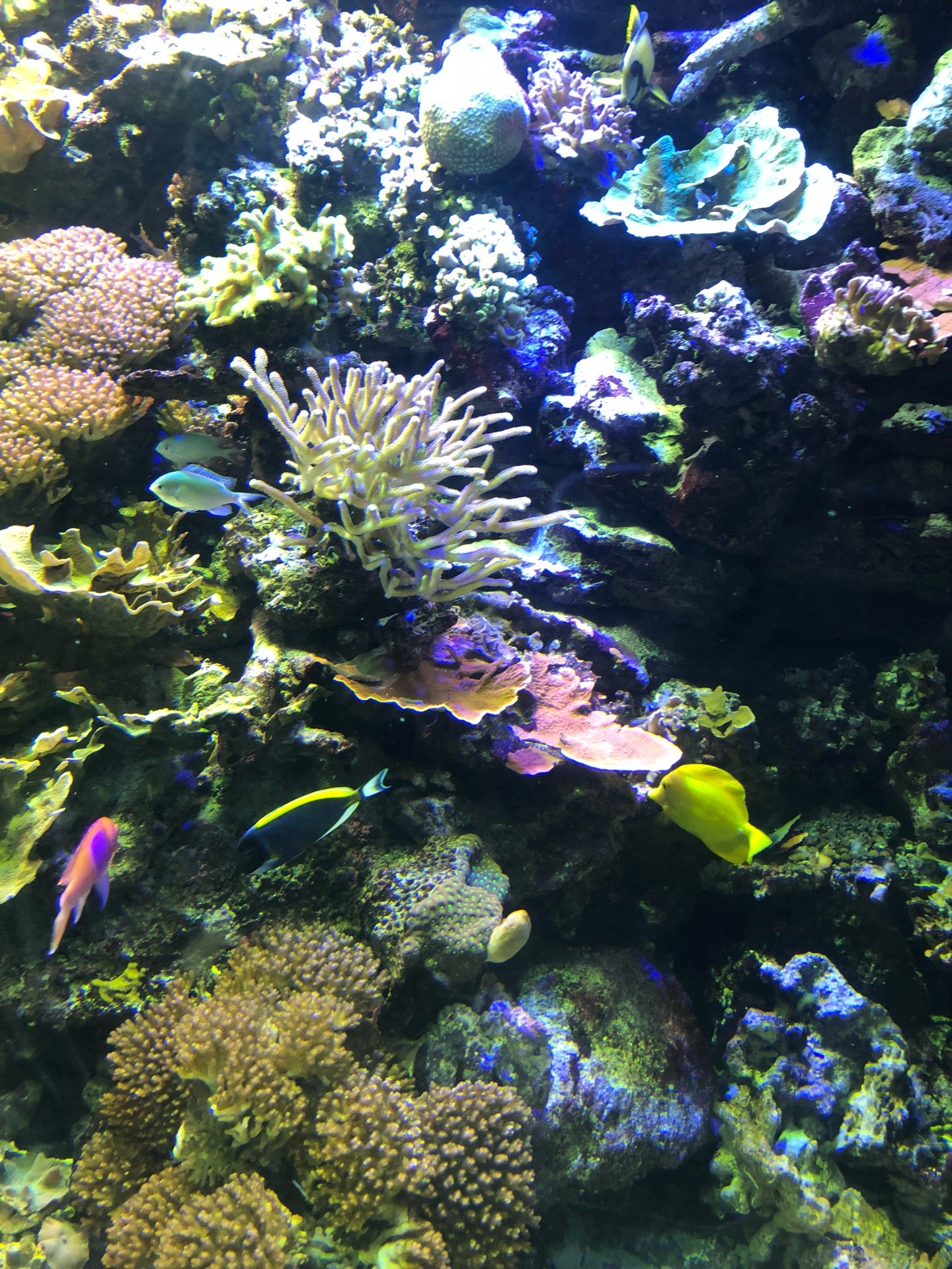exhibit