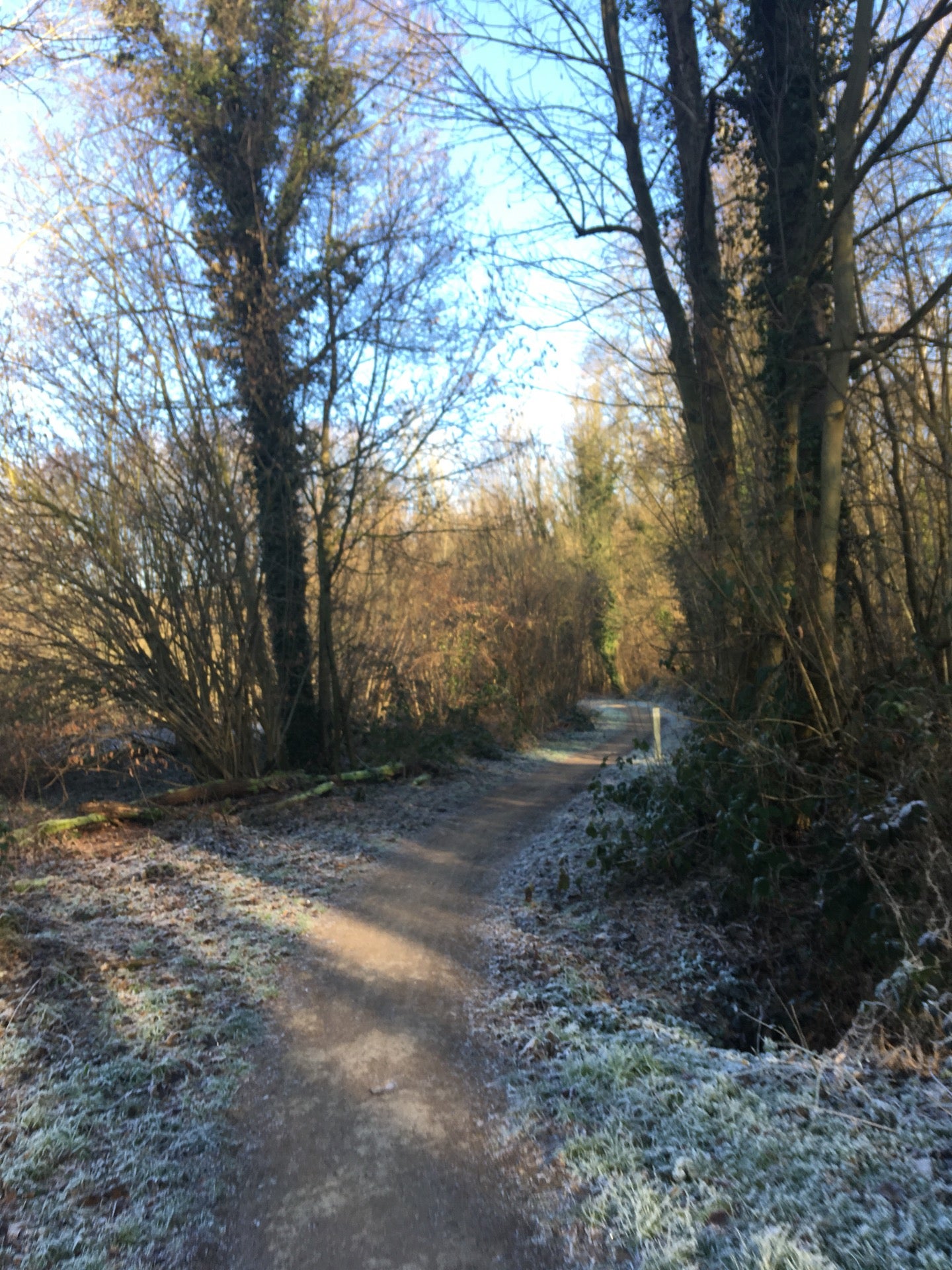 trail