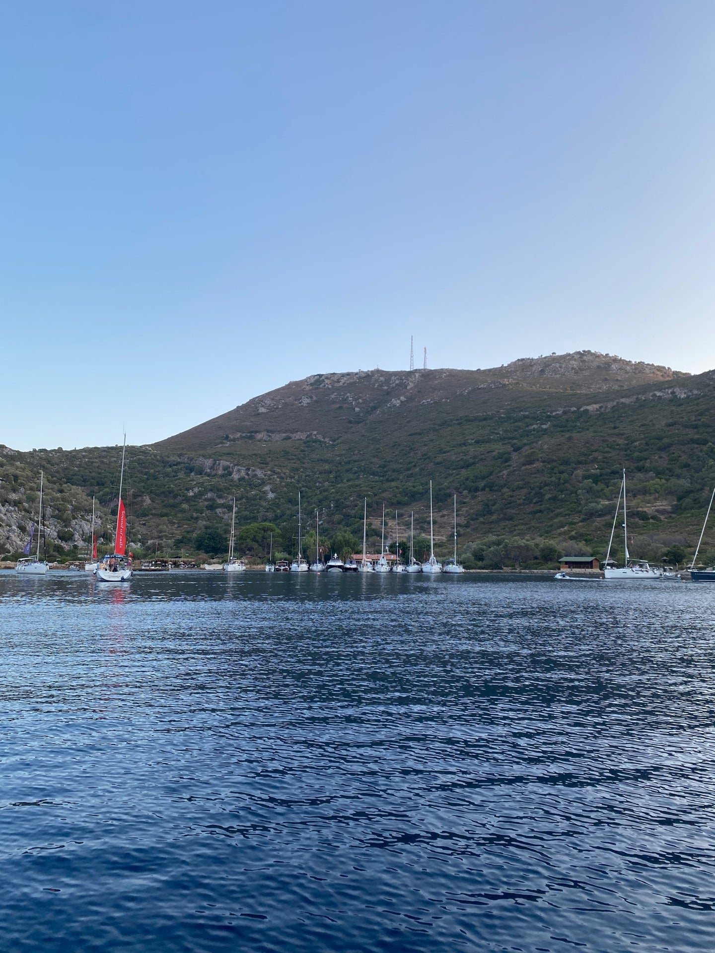 bay