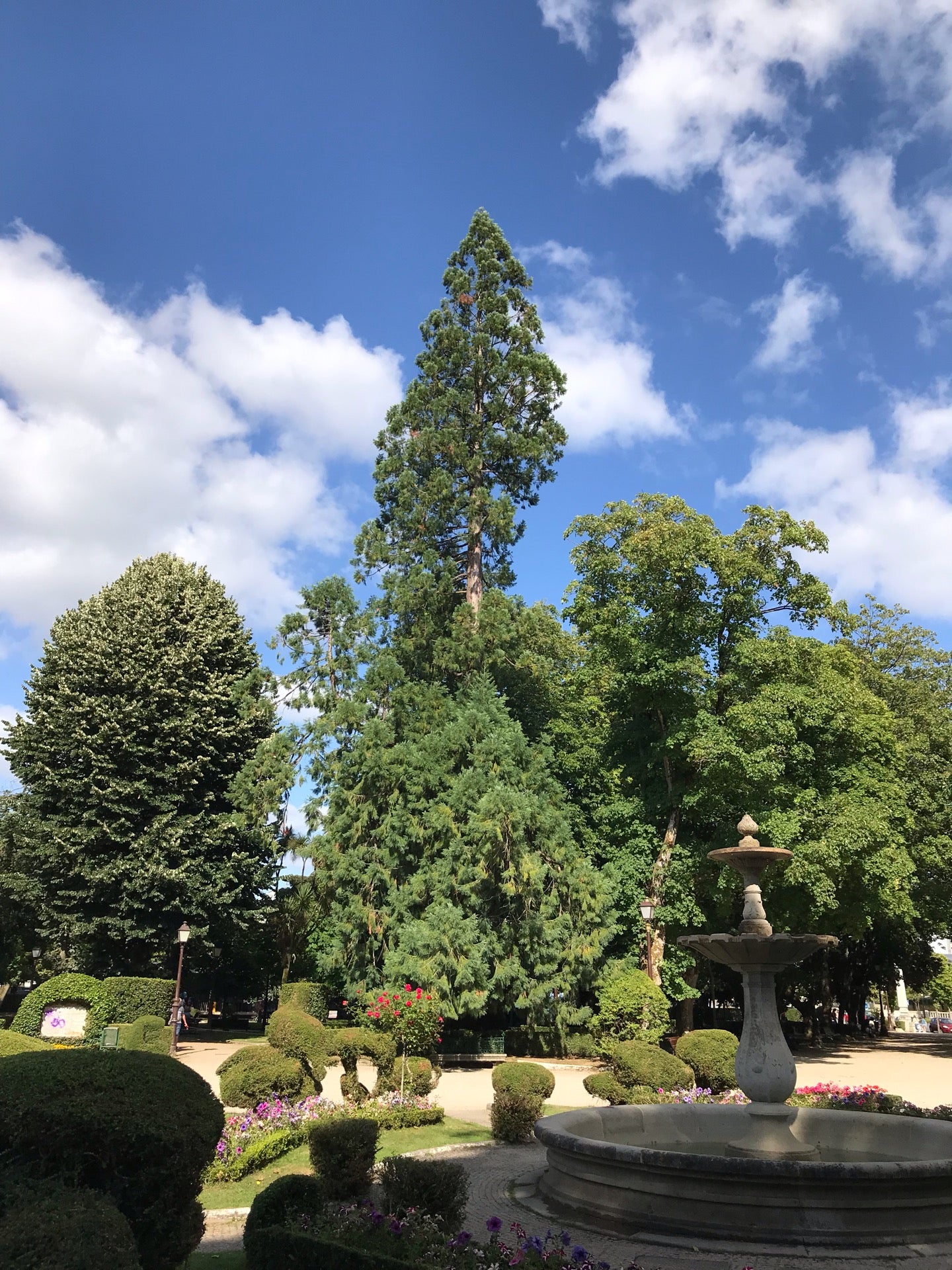 park