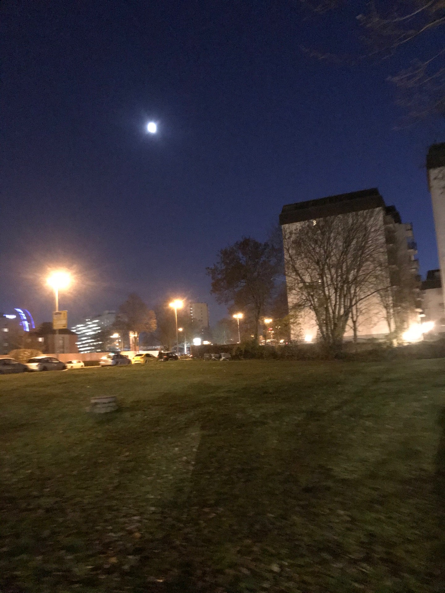 neighborhood