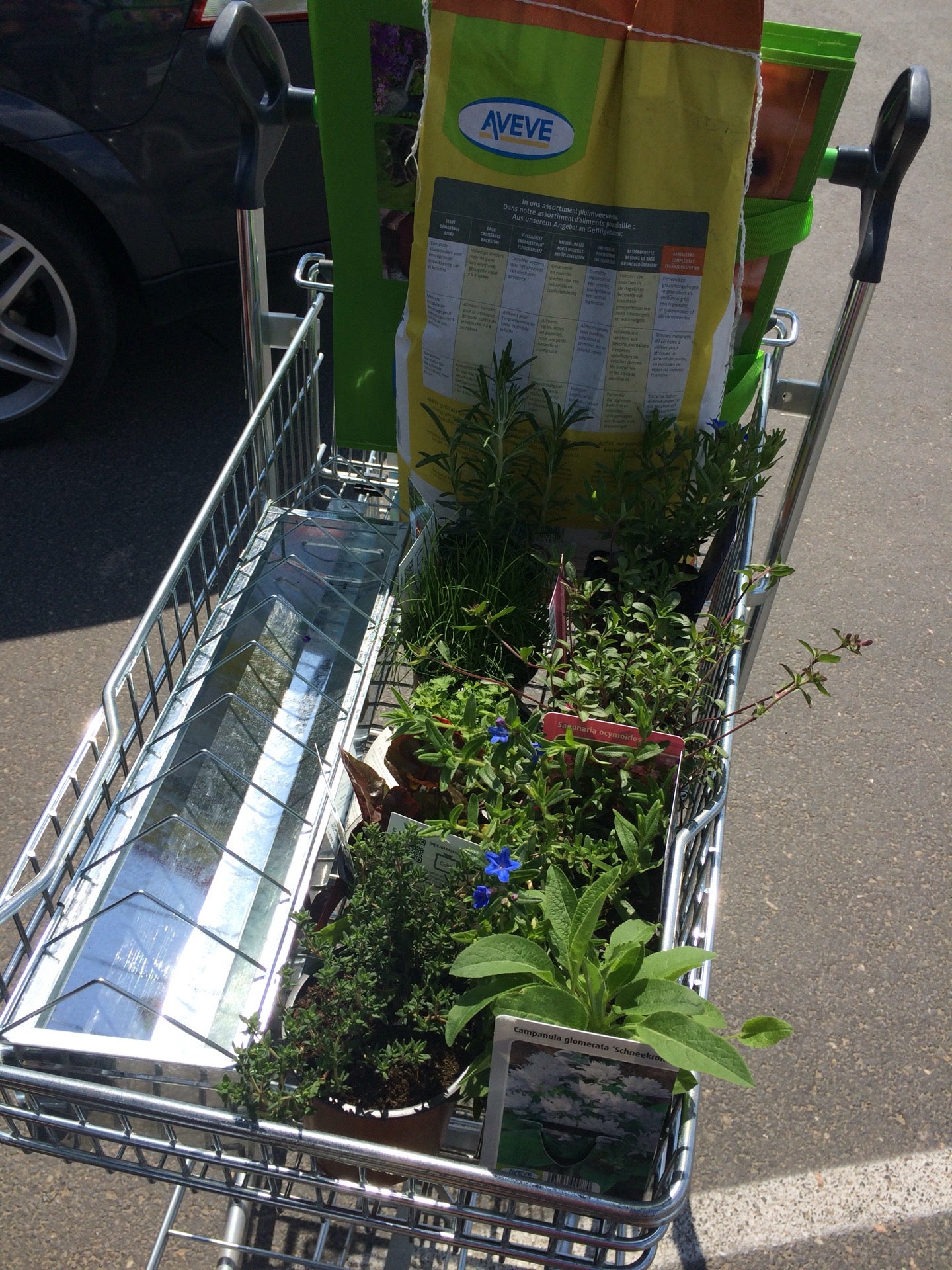 garden-center