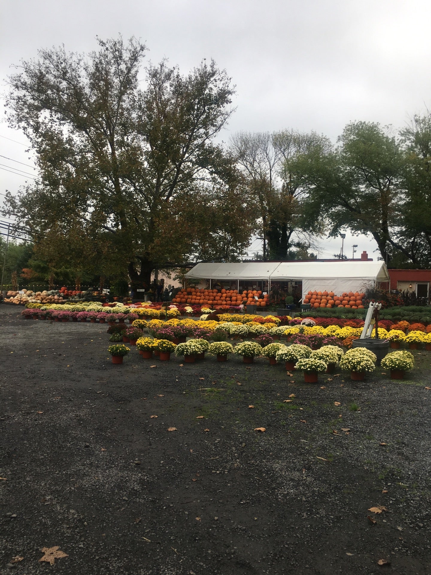 photo of Whitcraft Farms