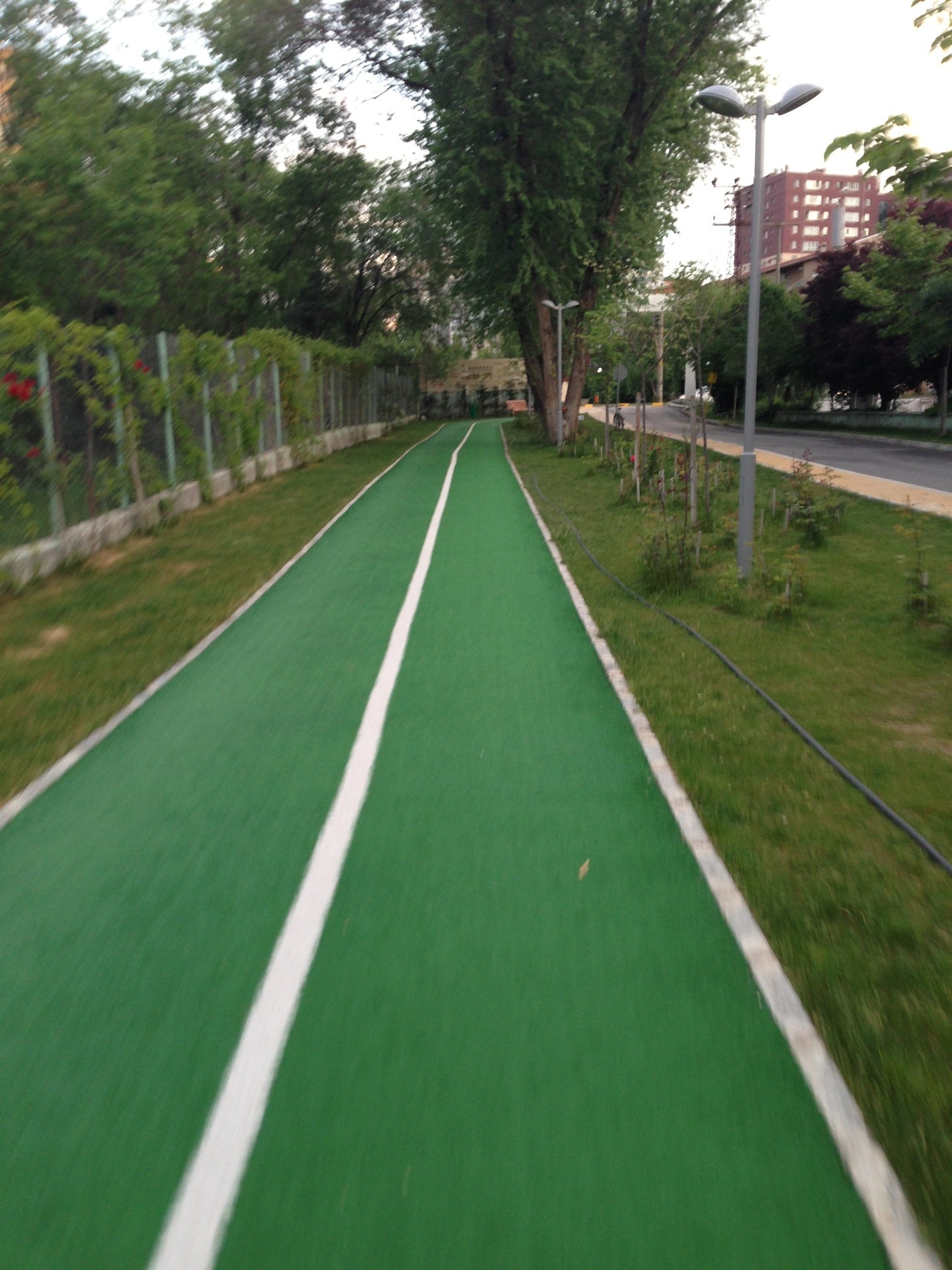 park