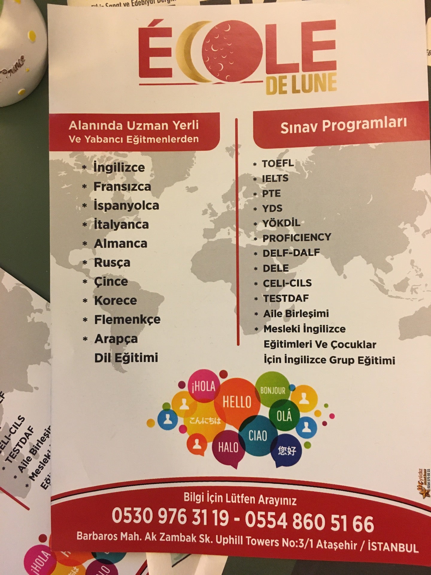 language-school