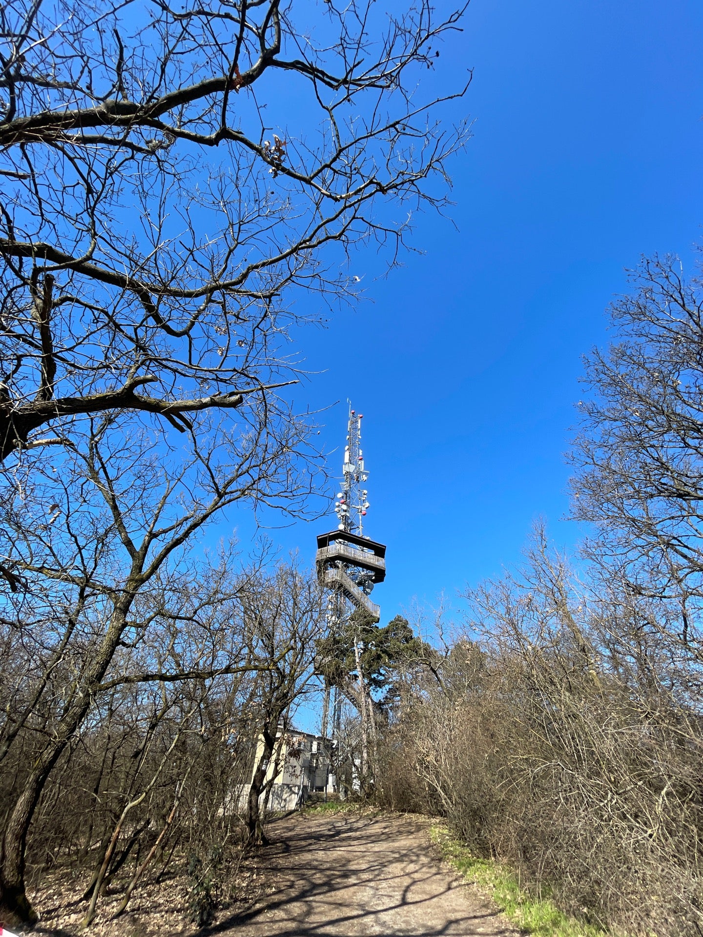 scenic-lookout