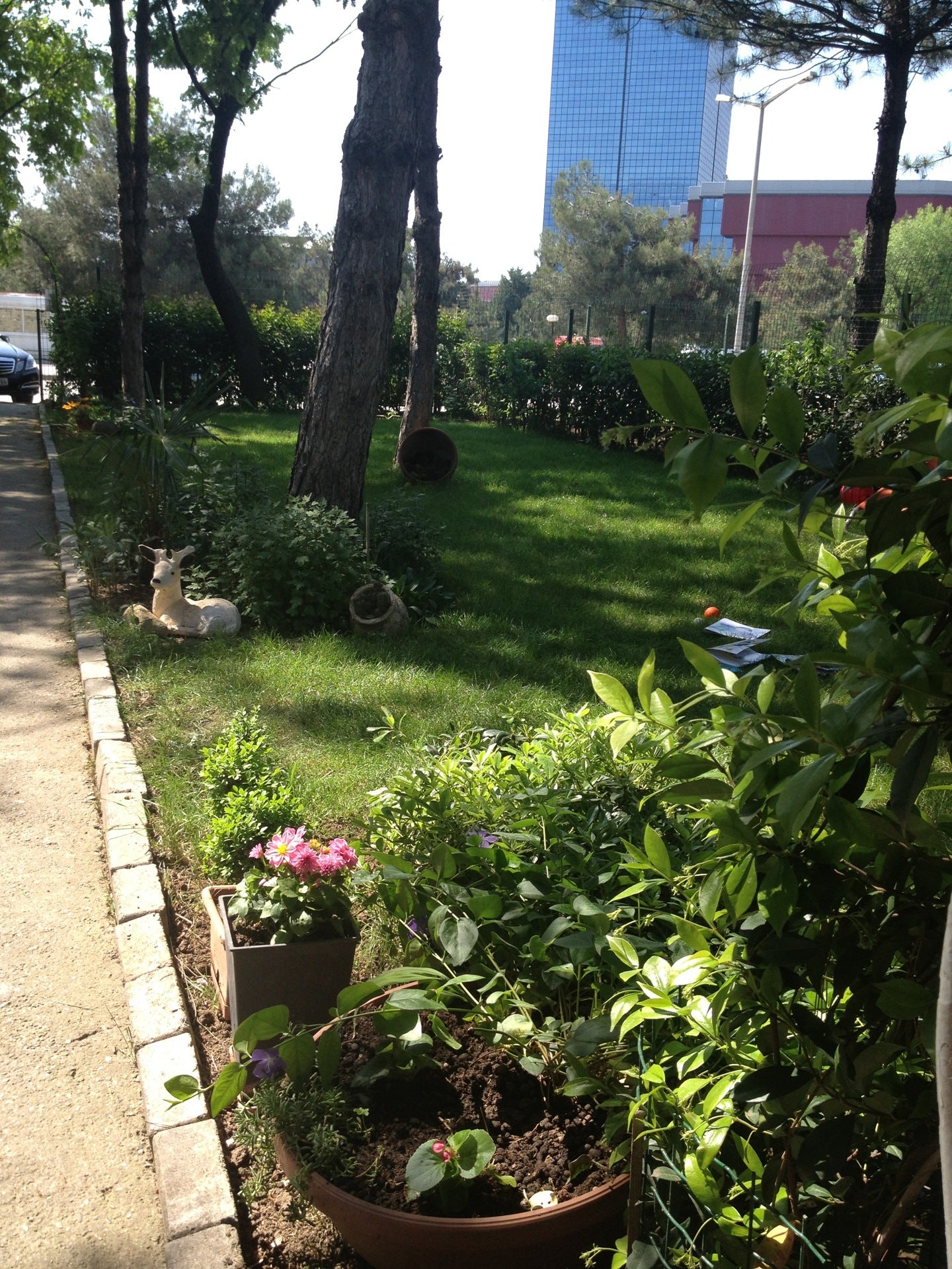 garden