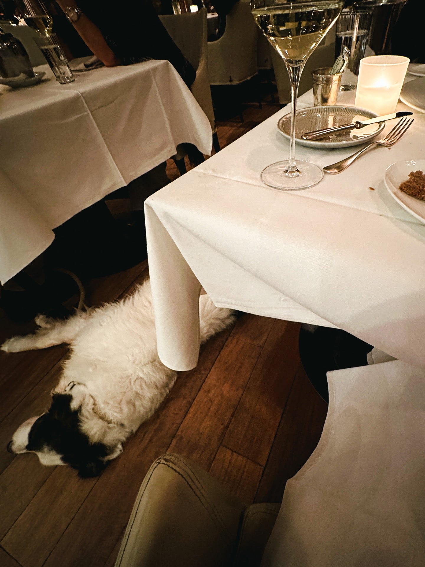 DO & CO Restaurant Stephansplatz on Postcard