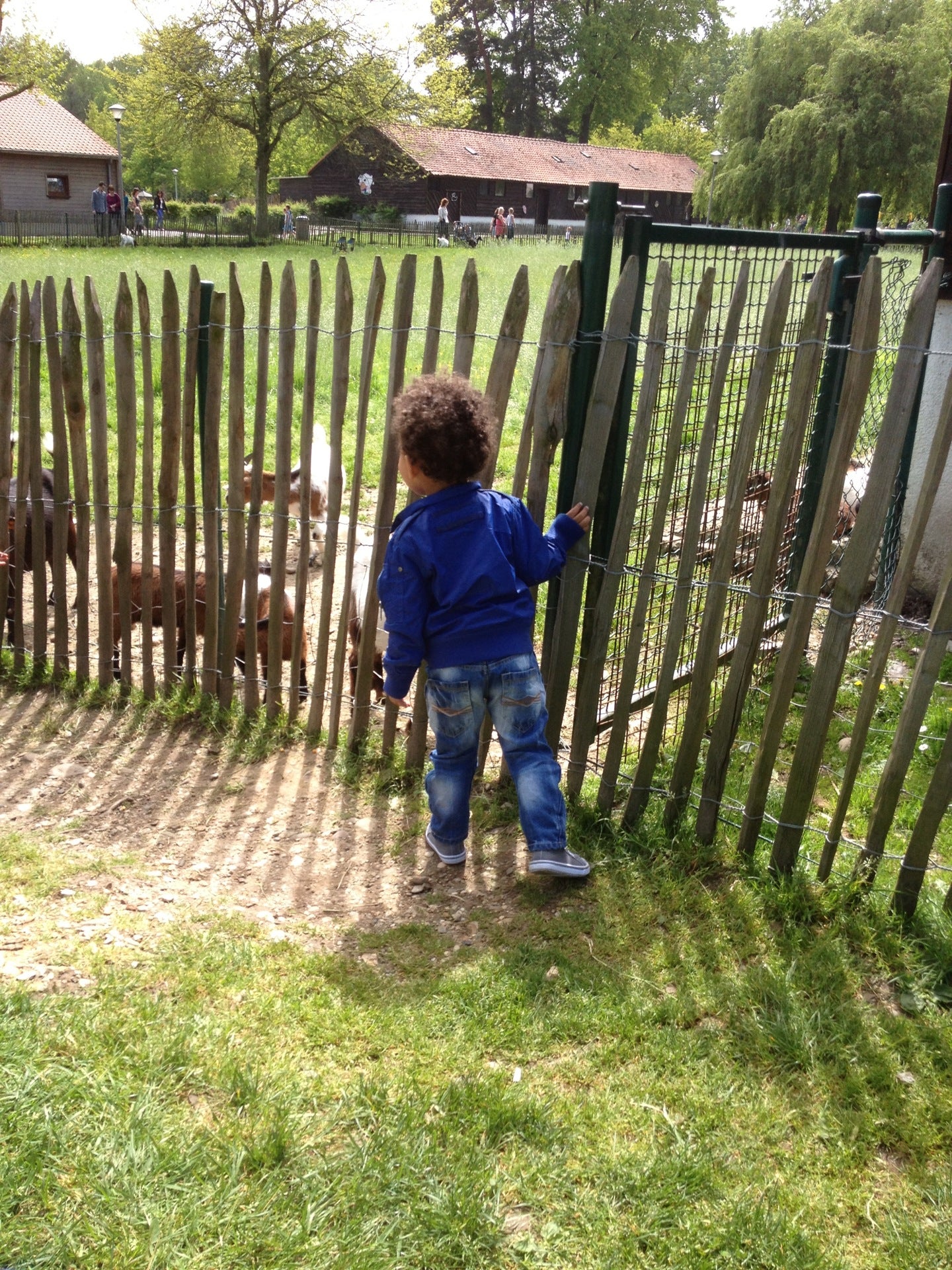 farm
