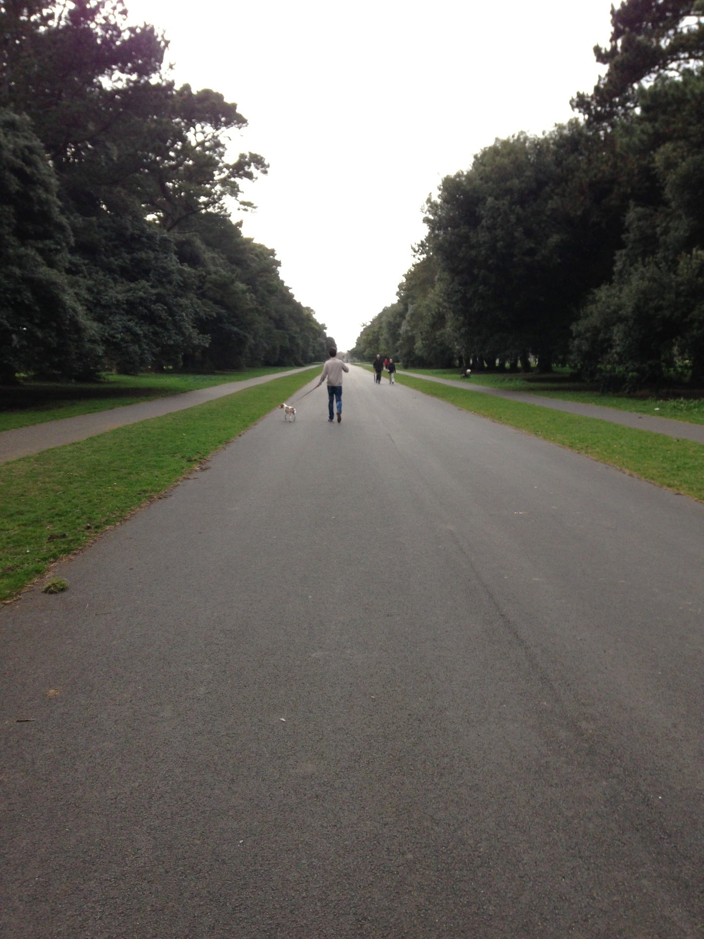 park