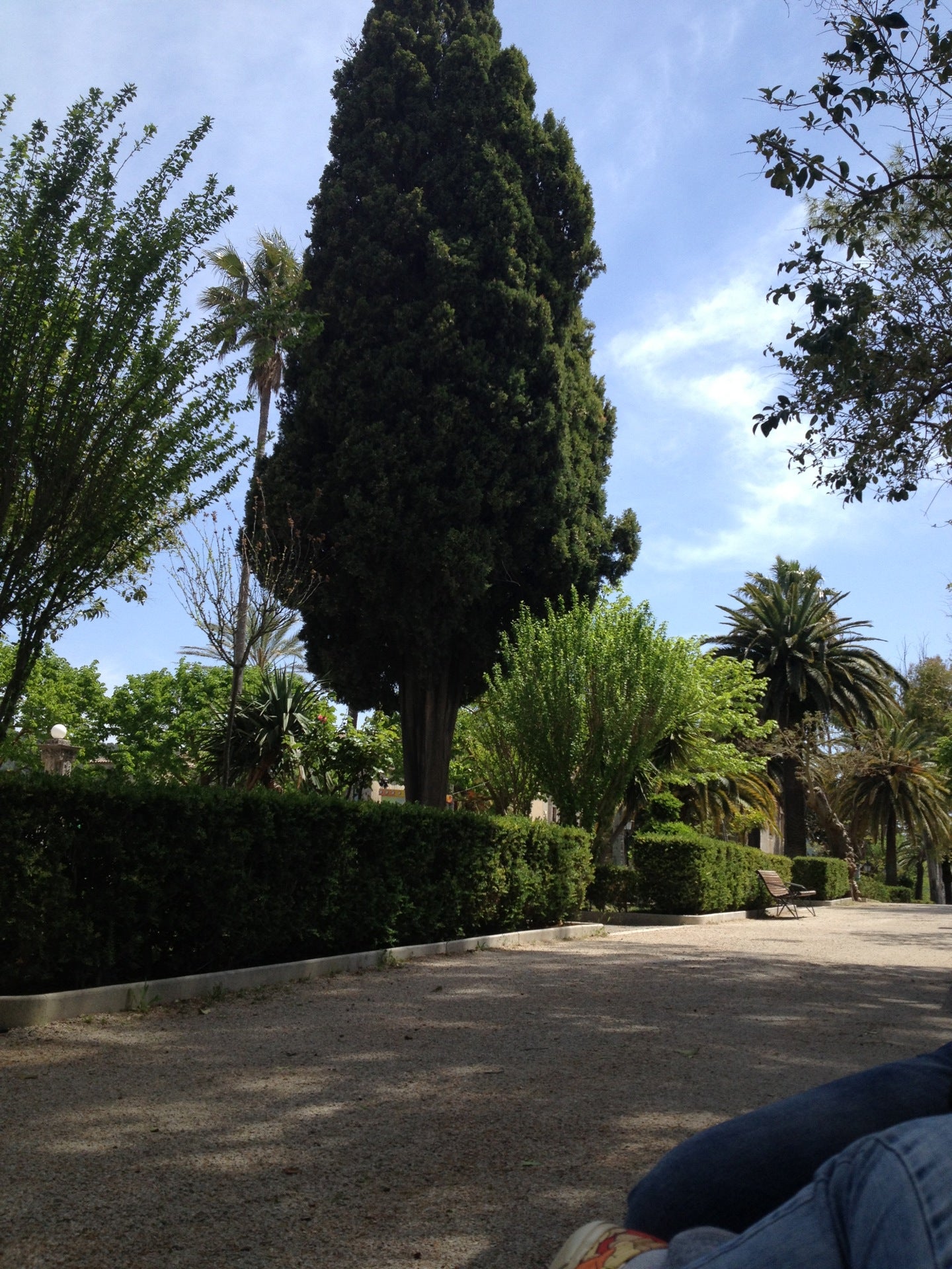 park