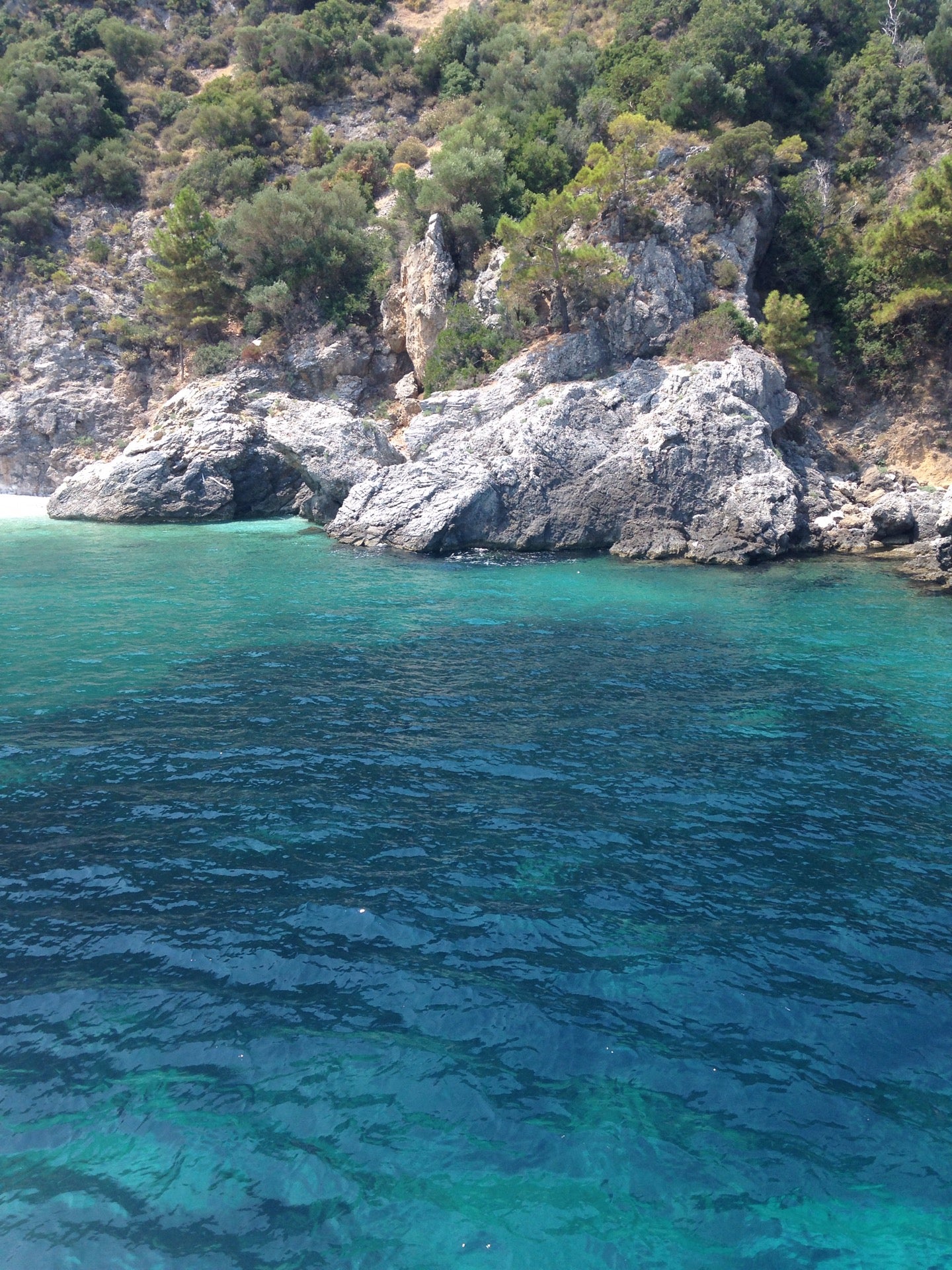 bay