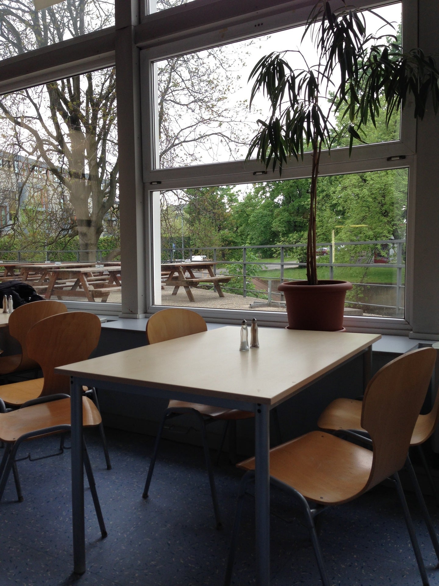 college-cafeteria