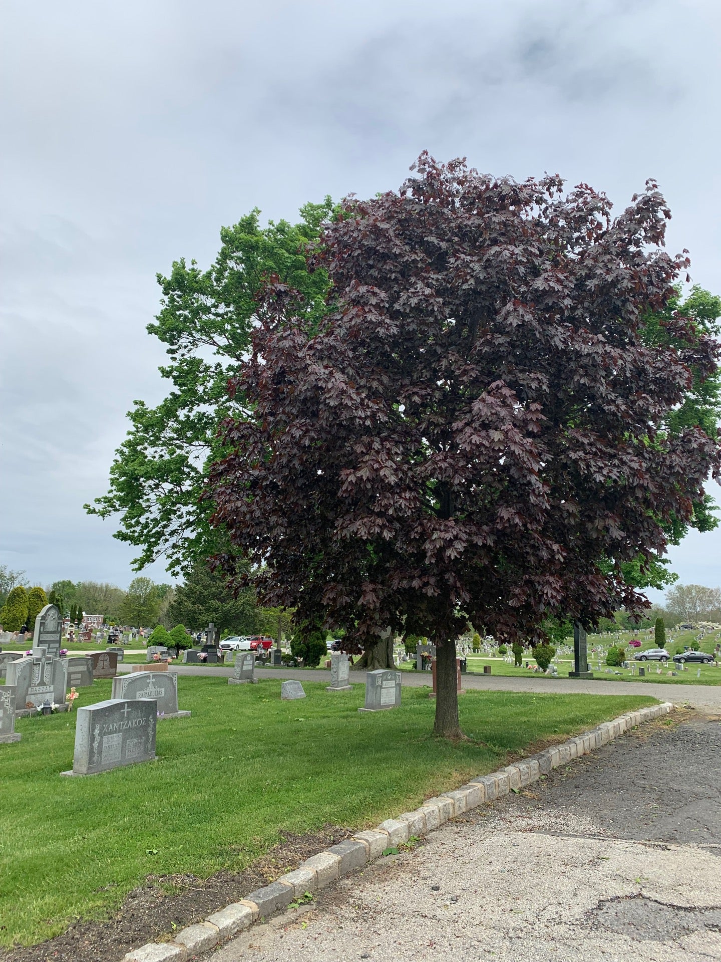 cemetery