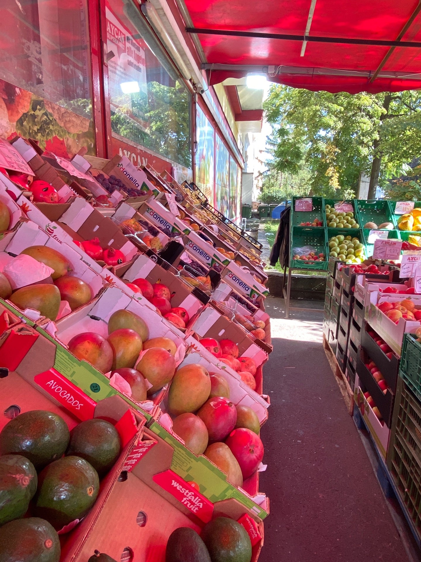 grocery-store