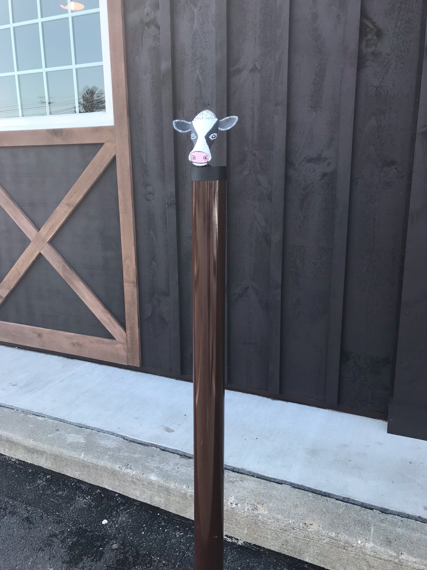 photo of Udder Choice