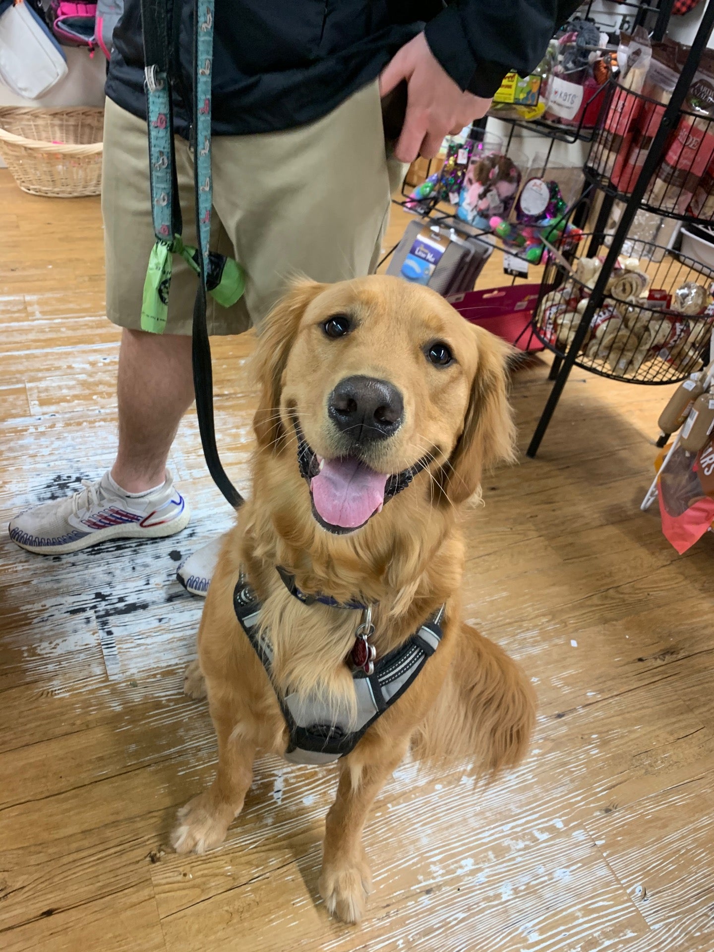 pet-store