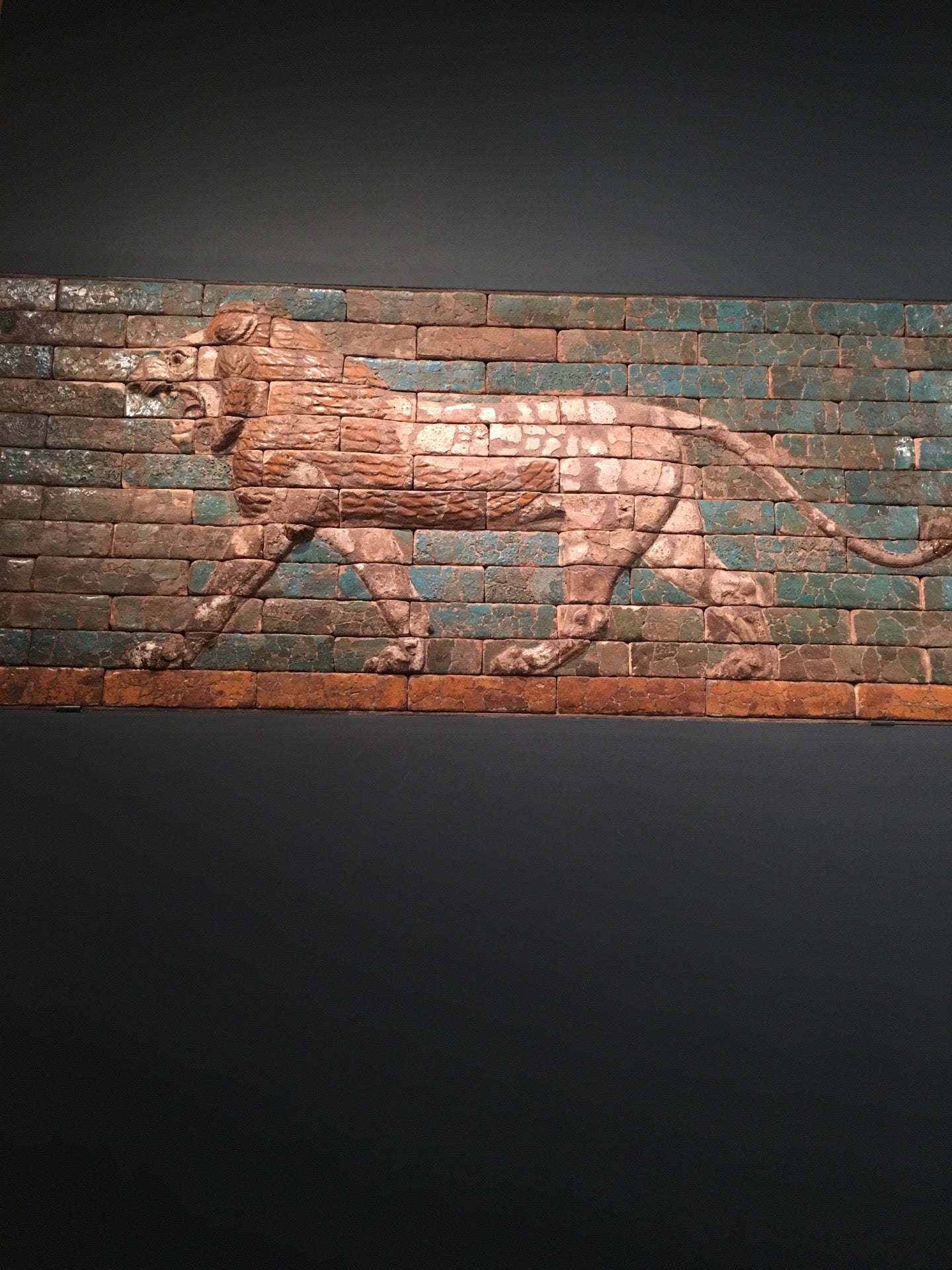 exhibit