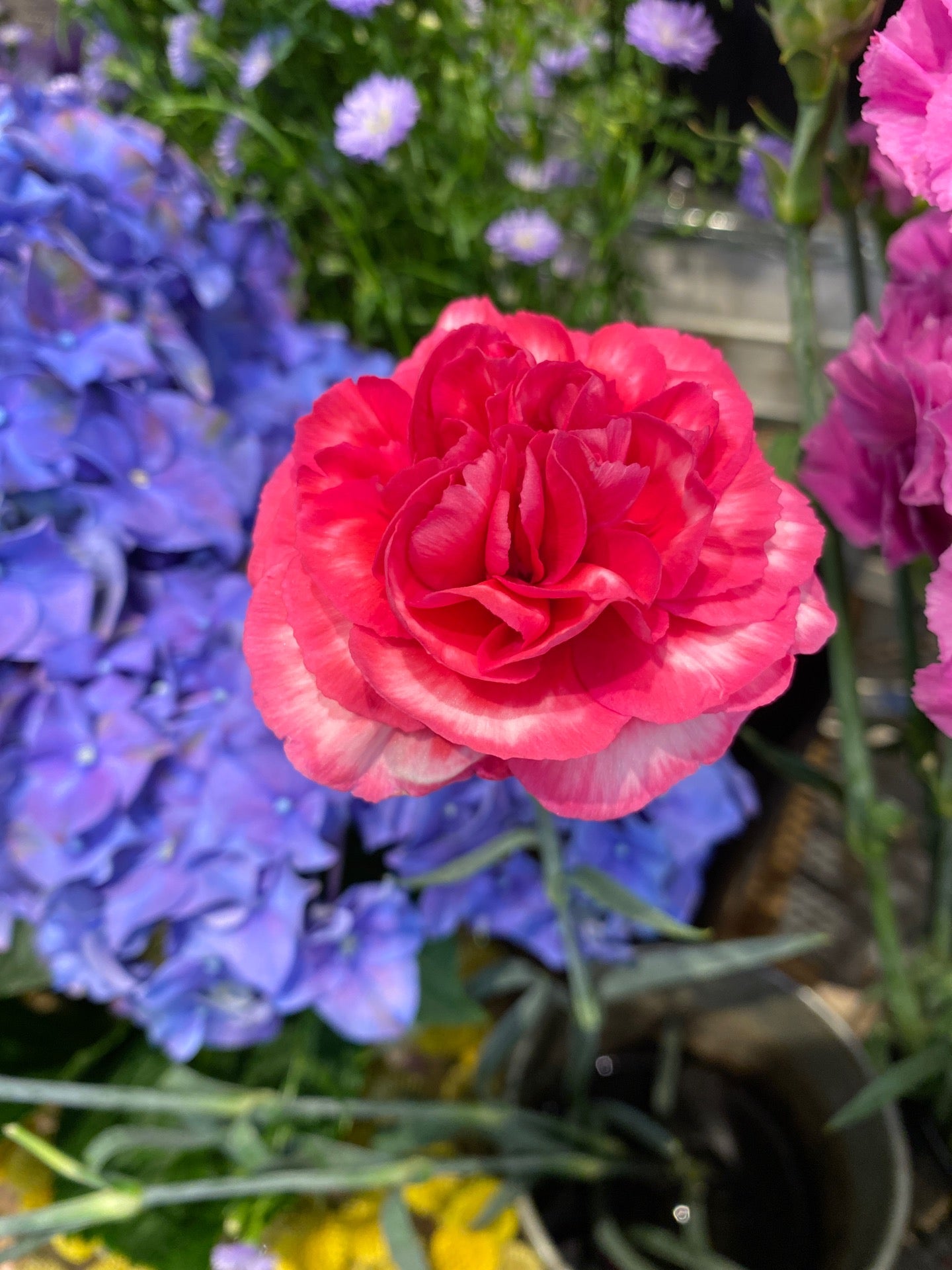 flower-shop