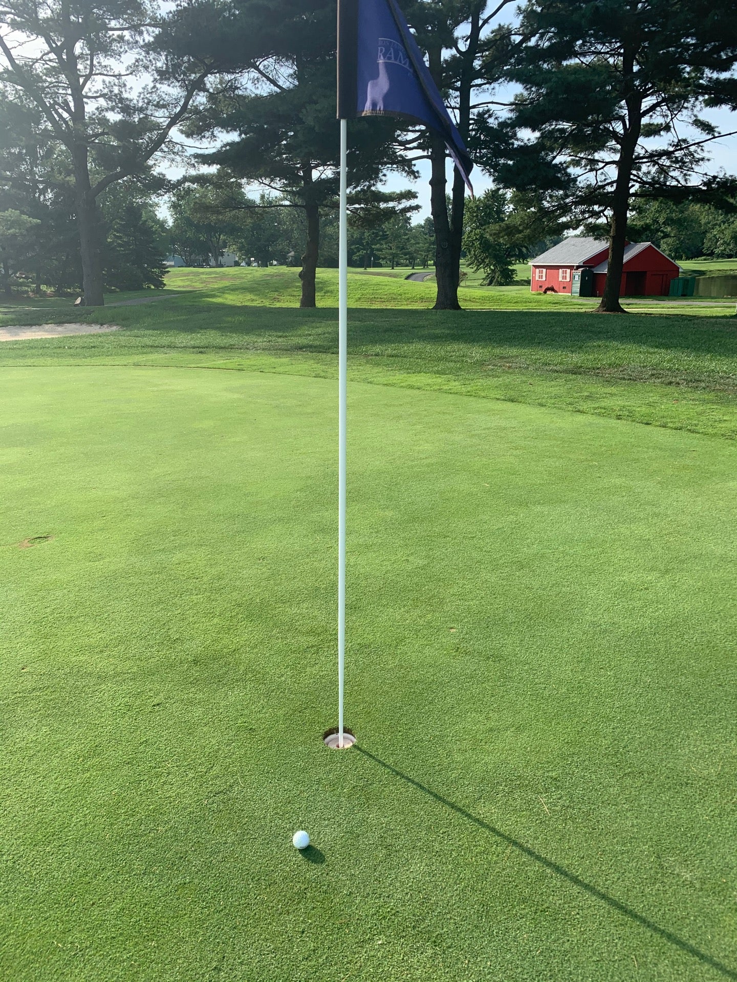 golf-course