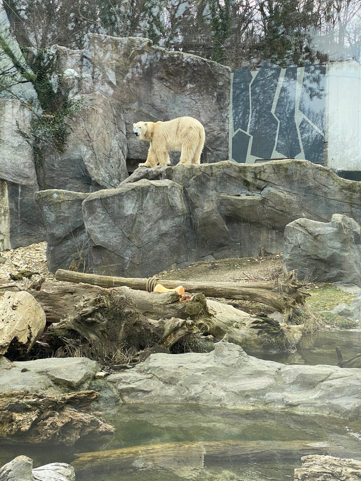 zoo-exhibit