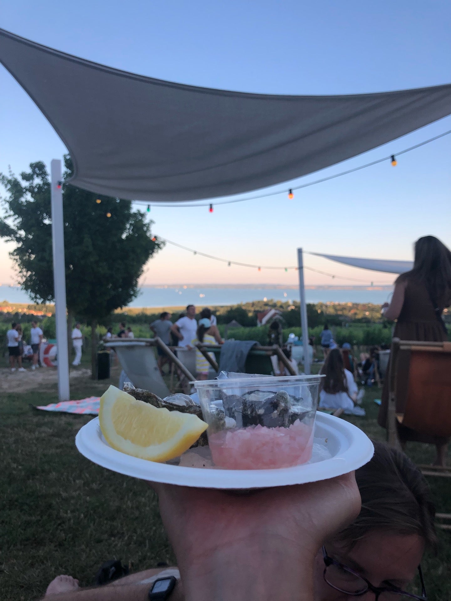 wine-bar
