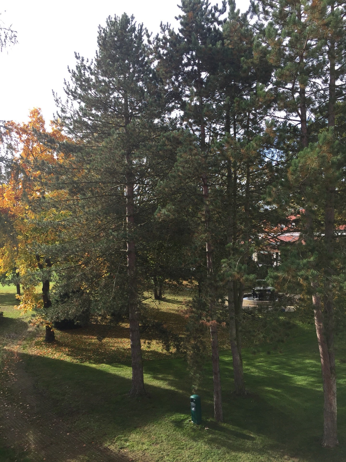photo of Wald In Gravenbruch
