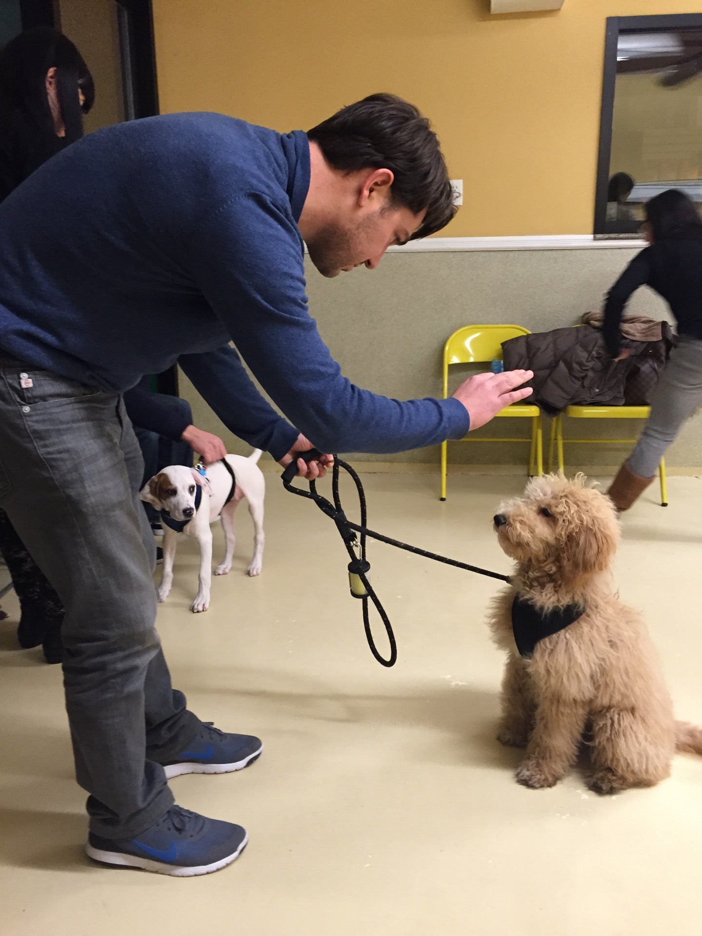 pet-service