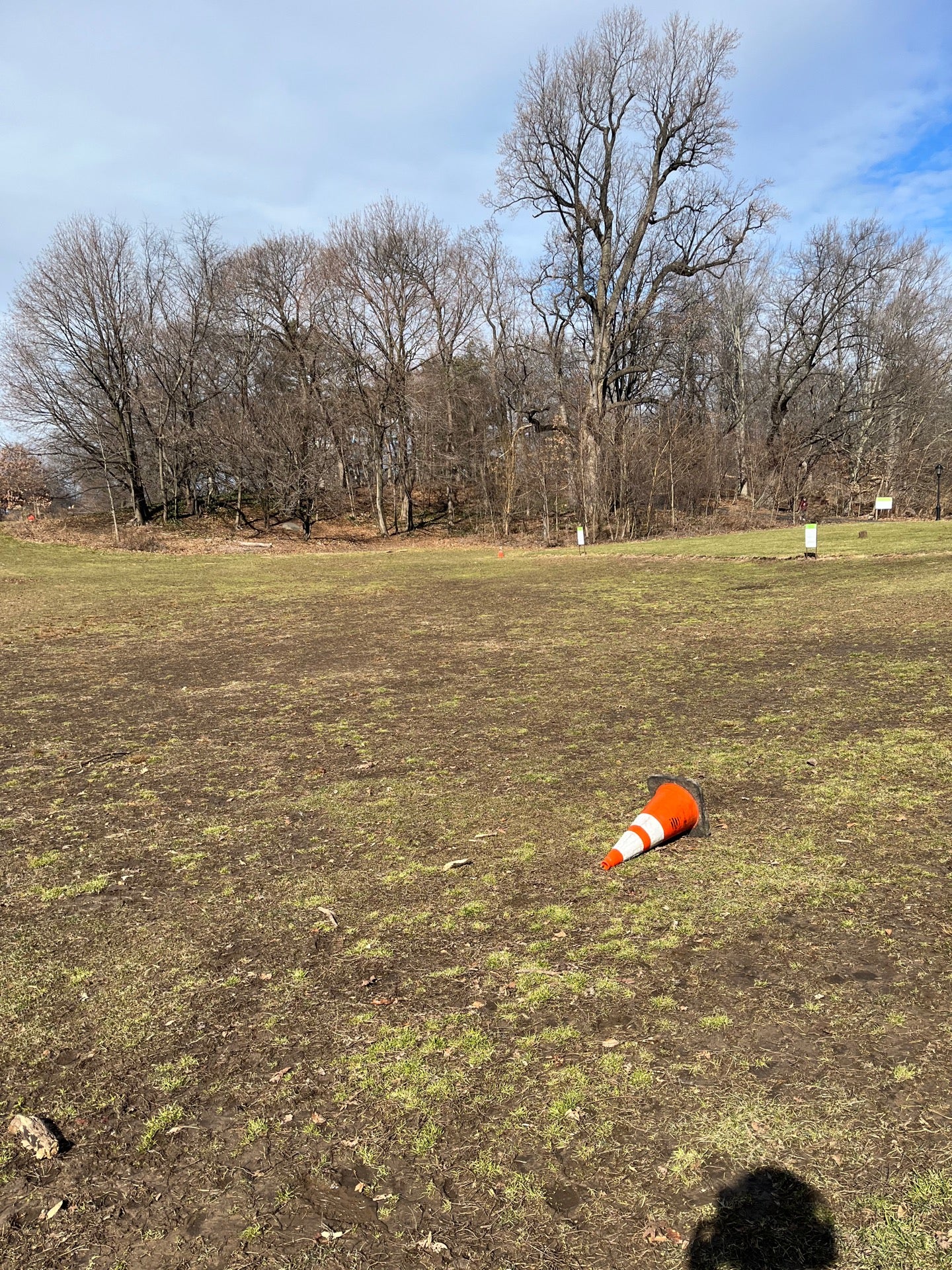 field