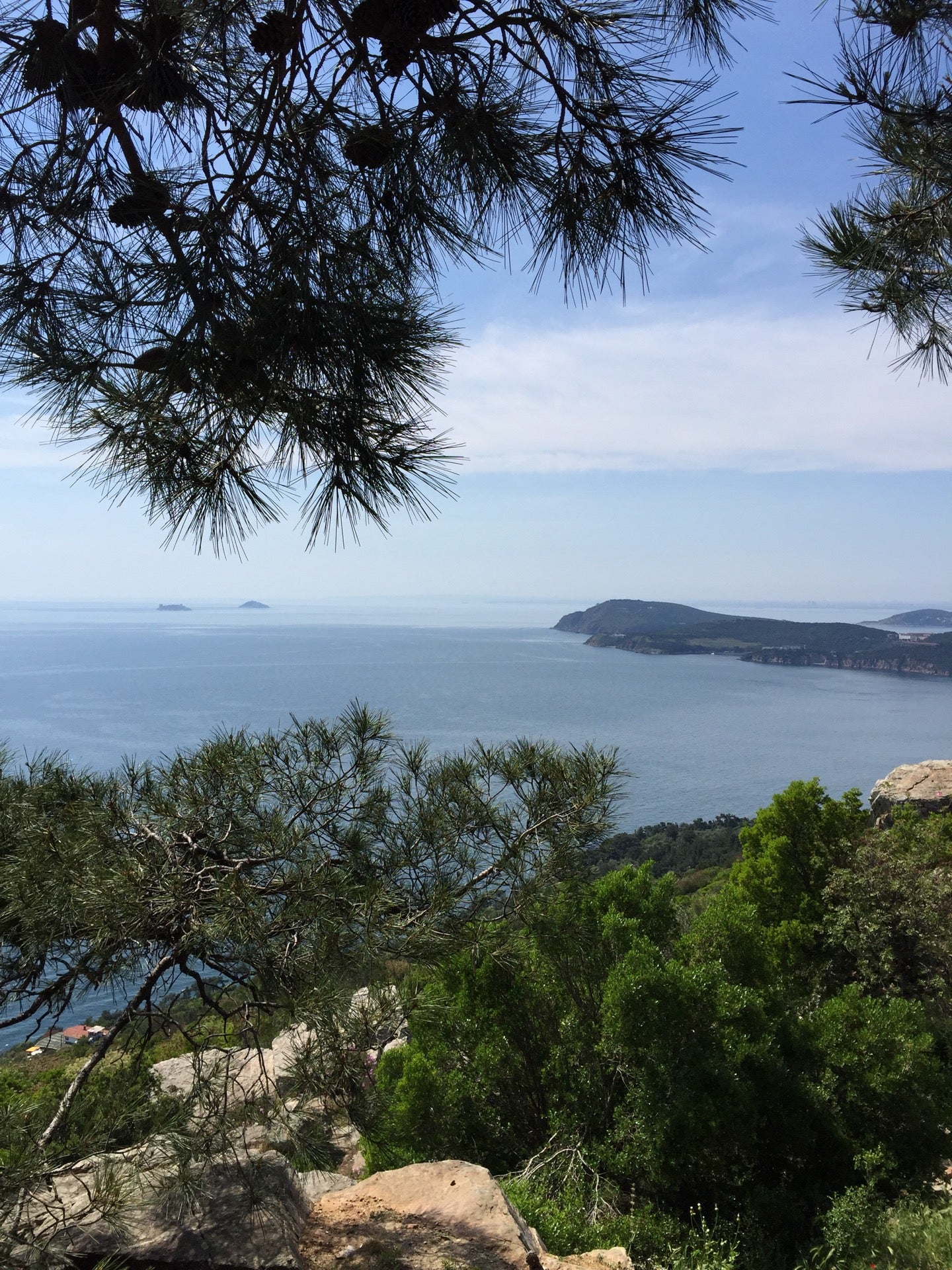 scenic-lookout