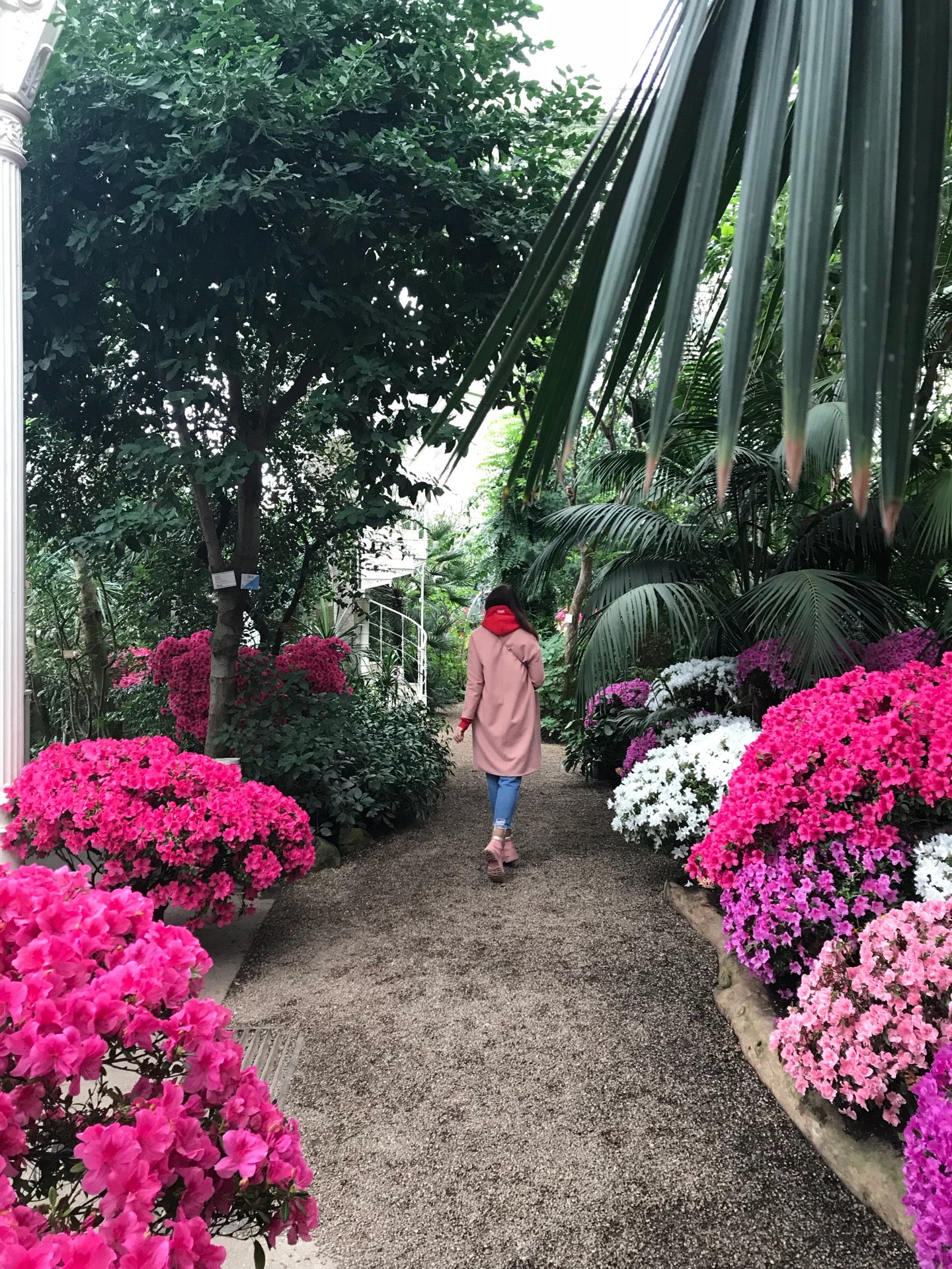 zoo-exhibit