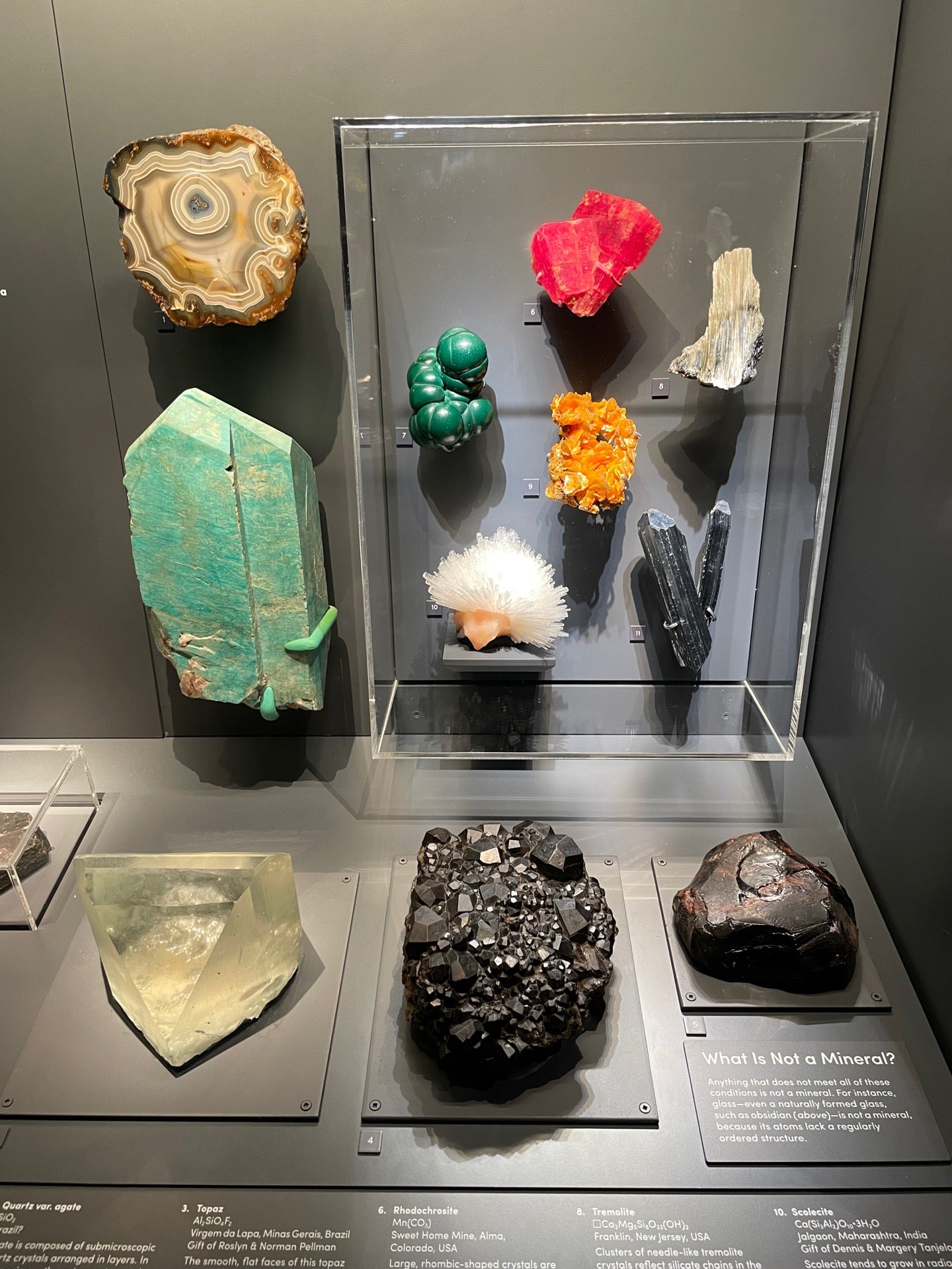 exhibit