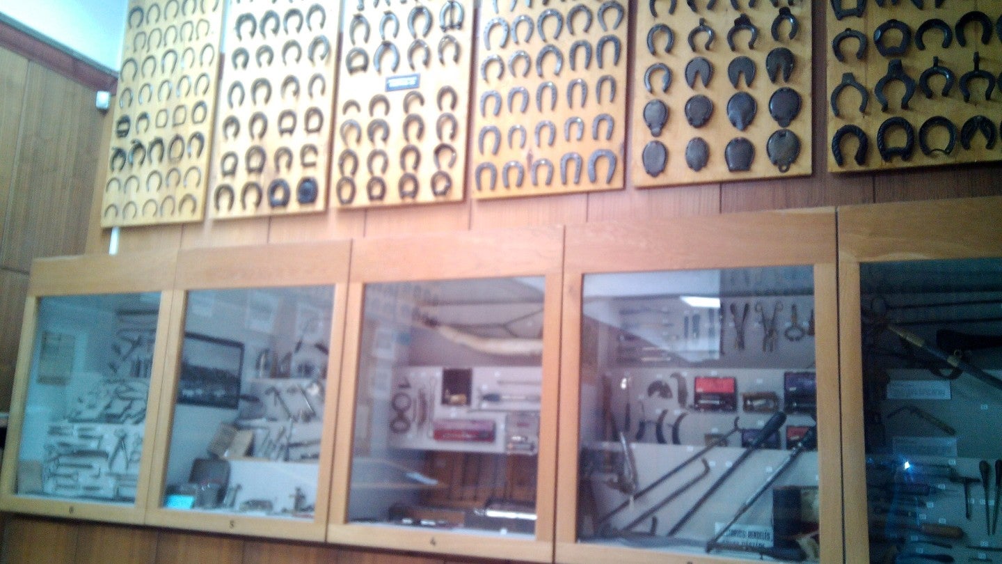 Állatorvos-tudományi Múzeum