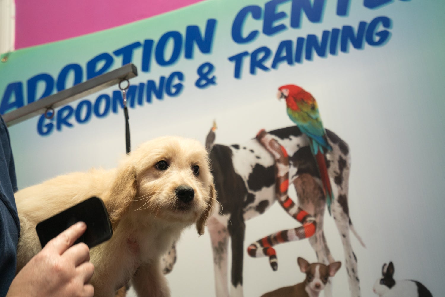 pet-store