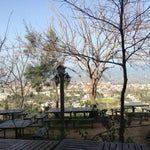 Cinartepe Cafe